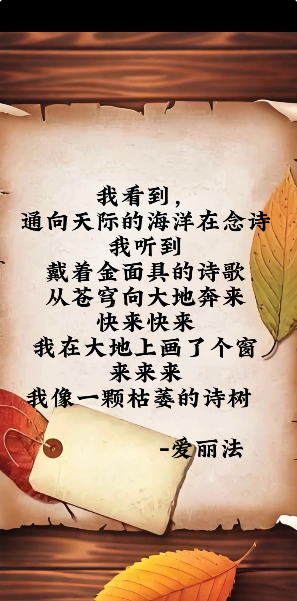 我是一棵树
