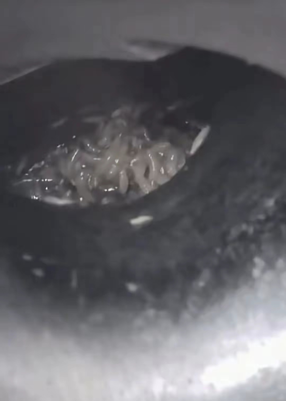 绞肉机的缝隙里密密麻麻爬满了白色蠕动的蛆虫让人浑身起鸡皮