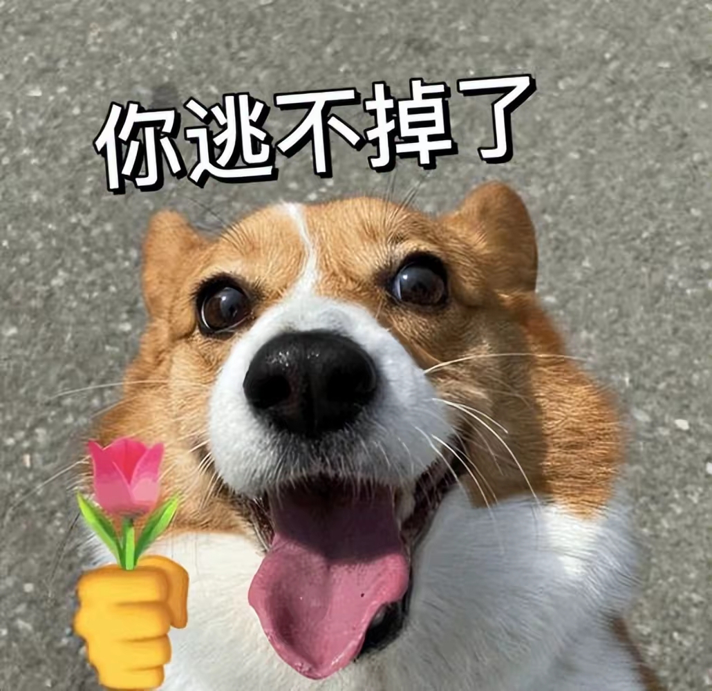 之前看到一个新闻,钟南山院士在节目上表示,推荐大家养狗养猫,是