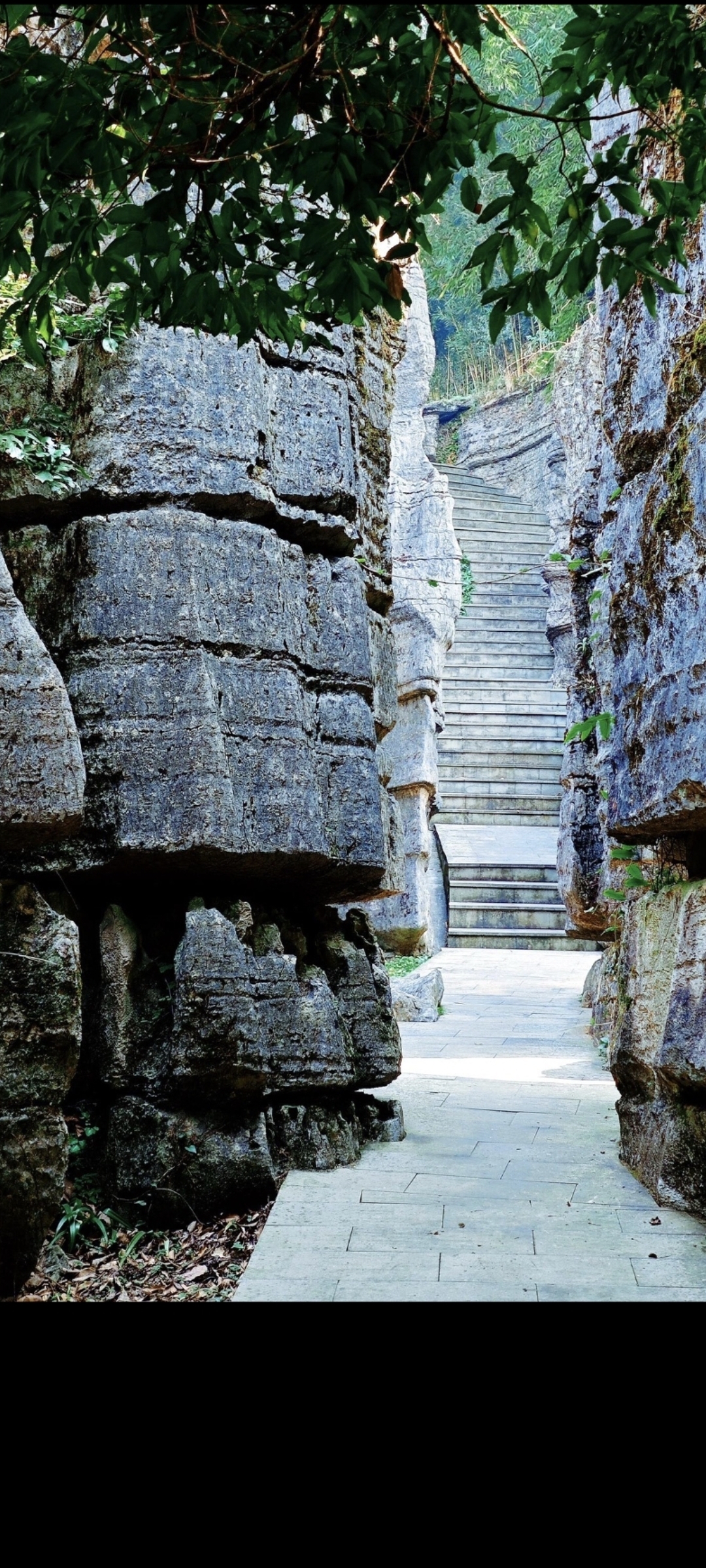 万盛石林天气预报今日情况