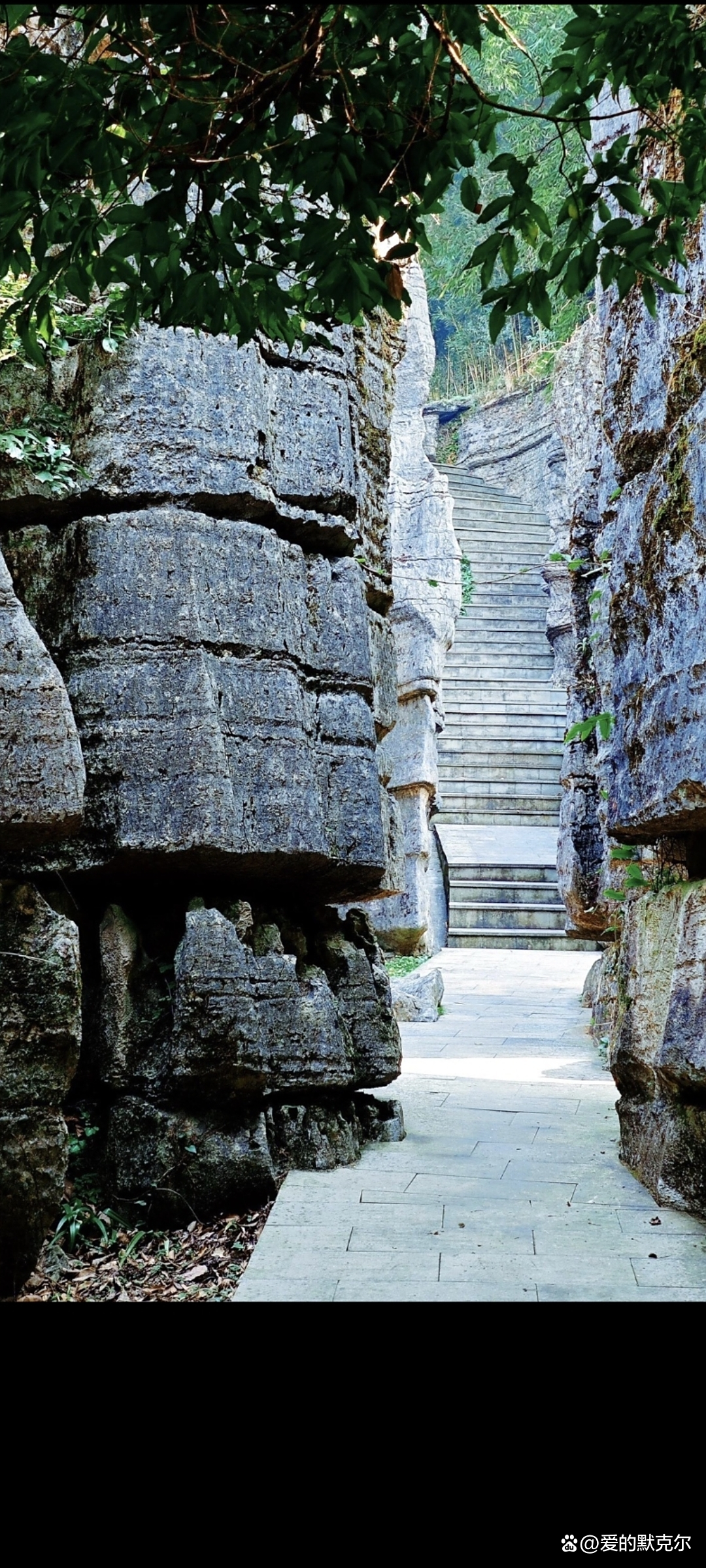 万盛石林天气预报今日情况 万盛石林天气预报今日情况