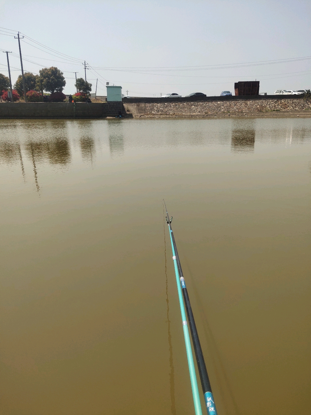 今天海边第一次在咸淡水中作钓,最终以上午钓获的三条鲻鱼宣告结束