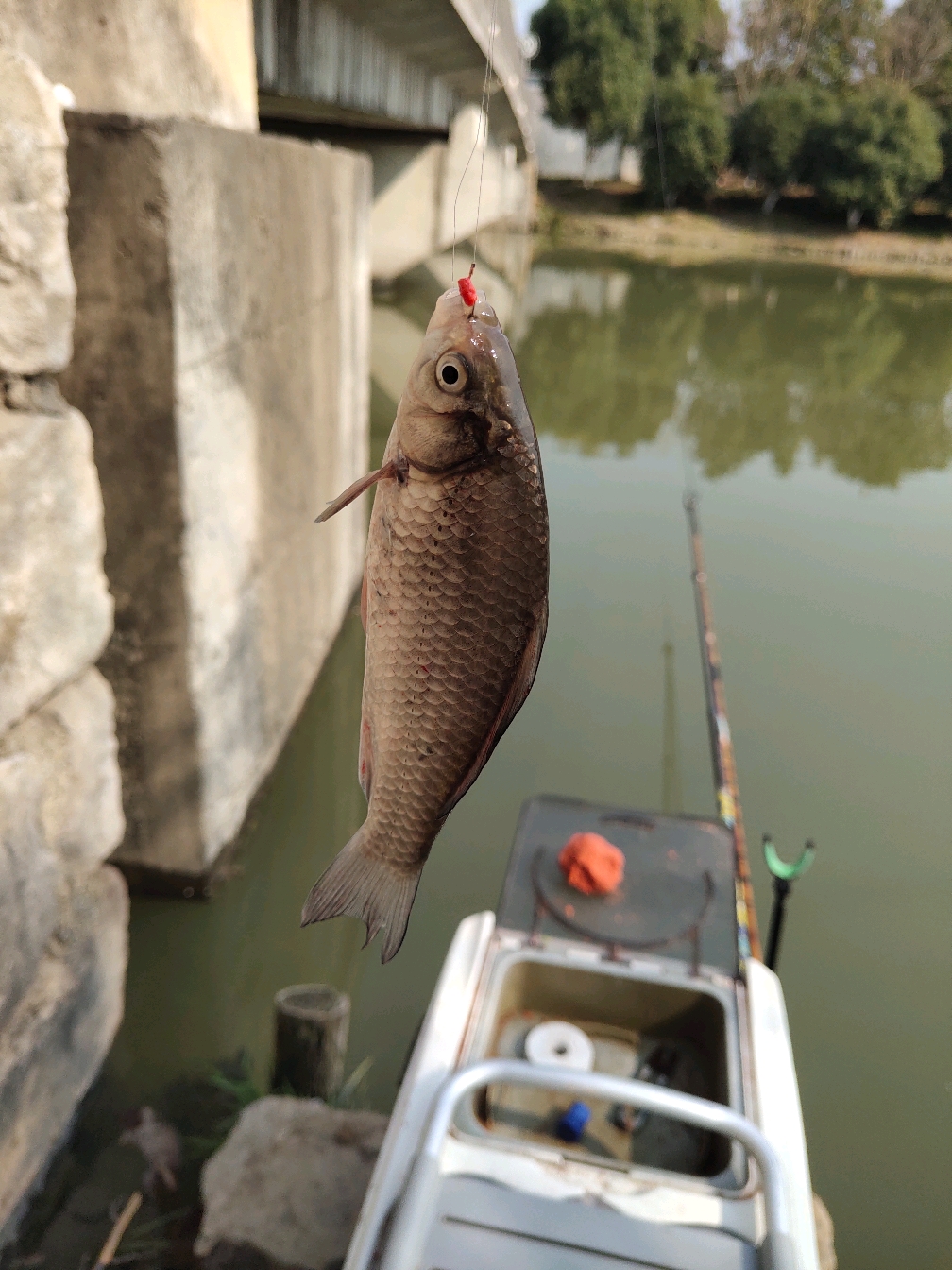 动态连更挑战# 开局差不多就是结束,这样的钓鱼真的太没劲了