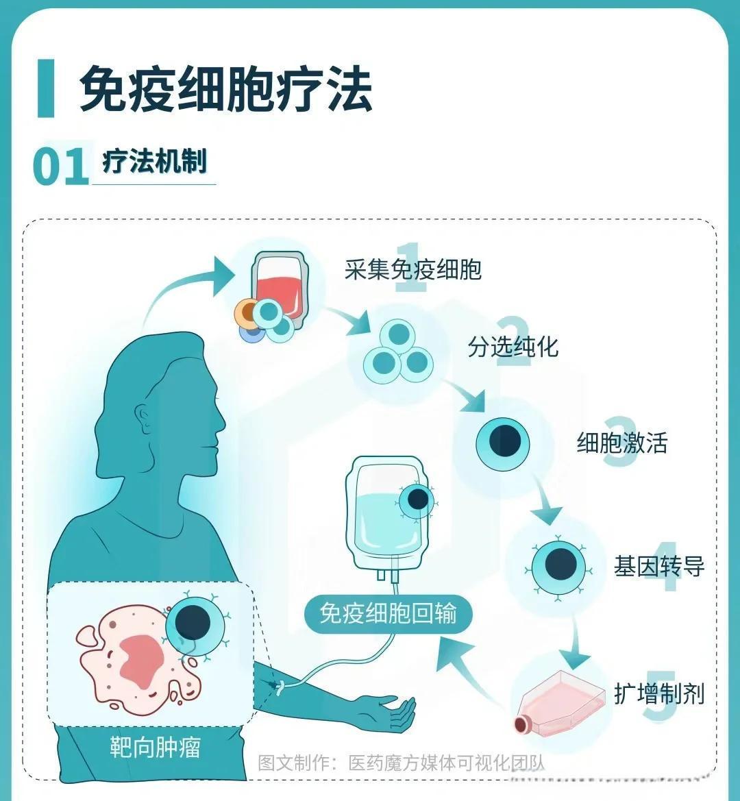肿瘤免疫治疗