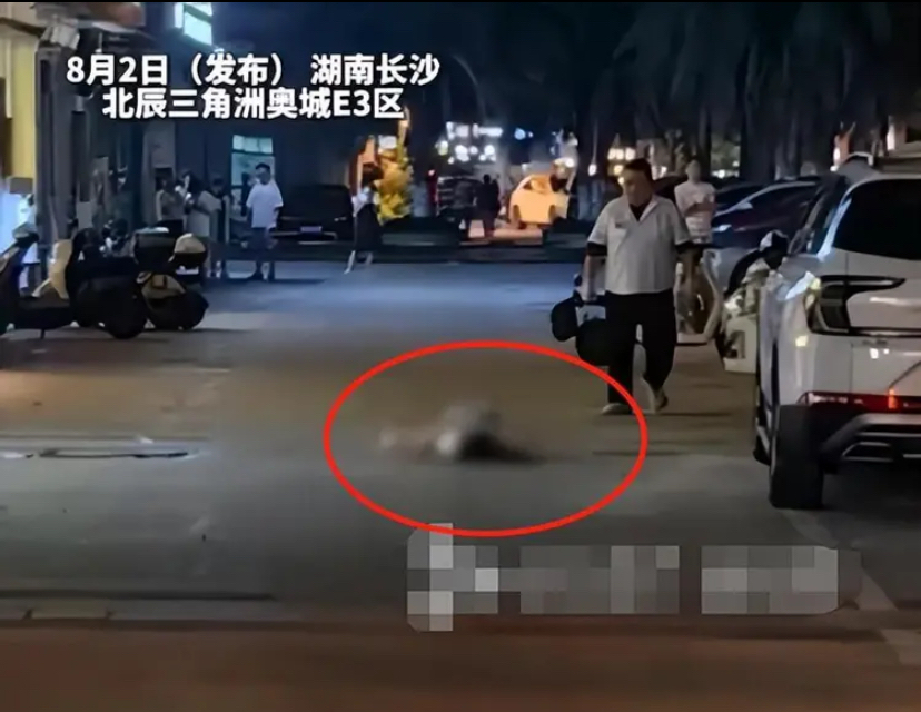 长沙女子小区散步被高空坠物砸中身亡,遗体在殡仪馆,家属语揪心