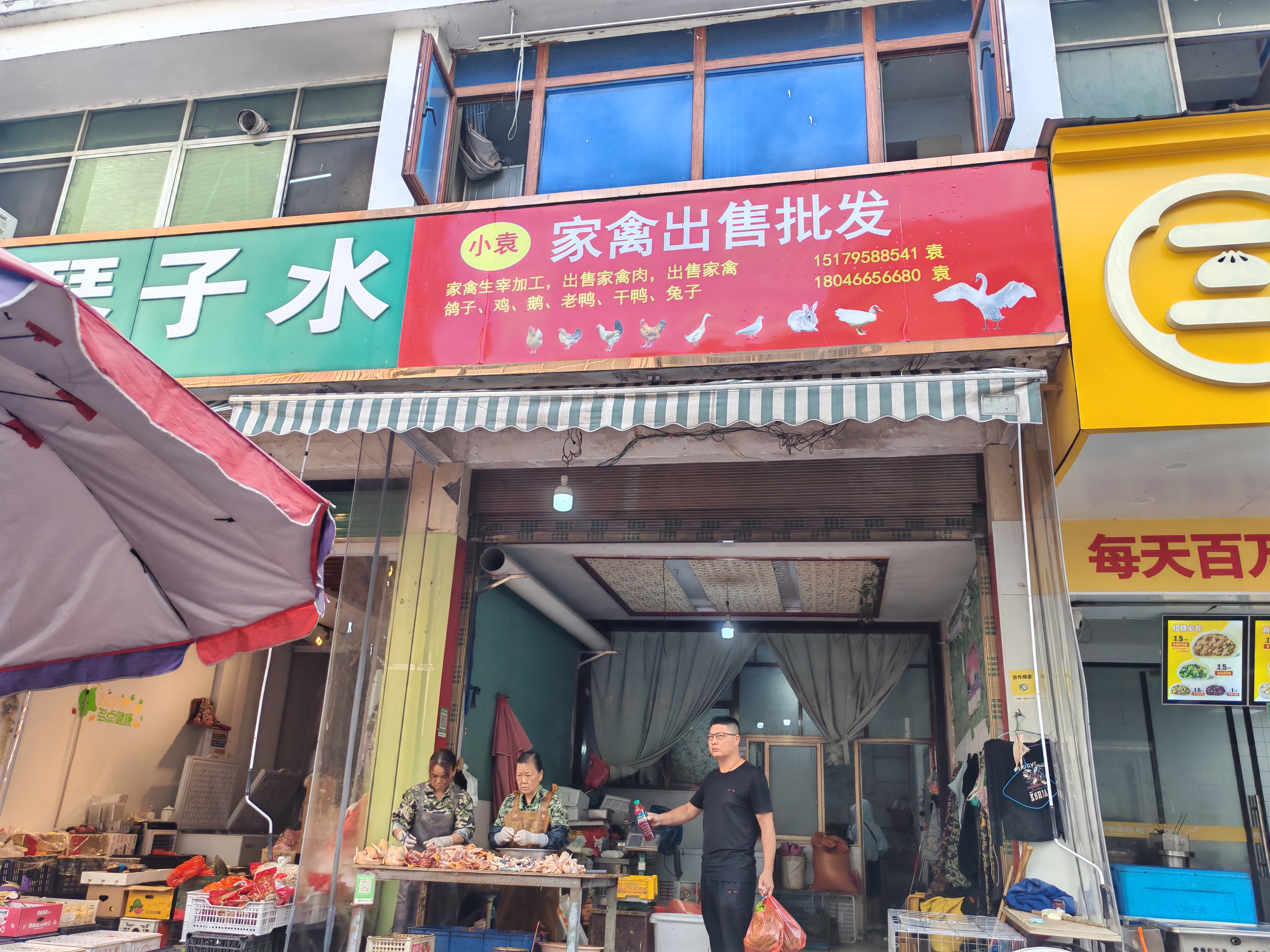 得,一大早就来买鸽子了! 话说