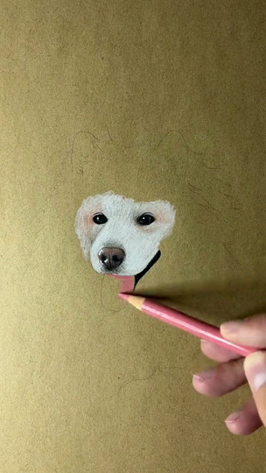 如何用彩铅画狗狗