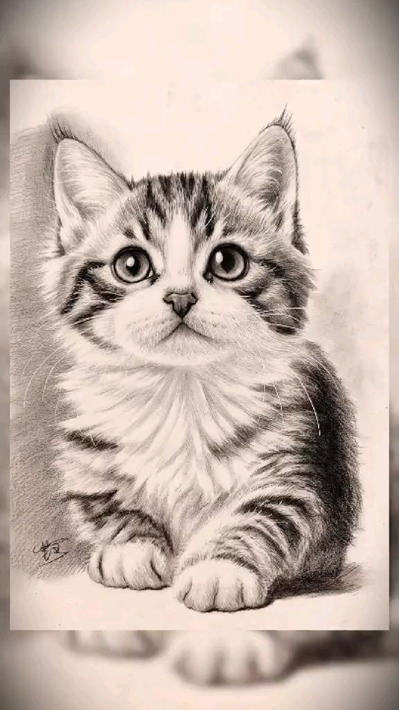 如何用铅笔画可爱的猫咪