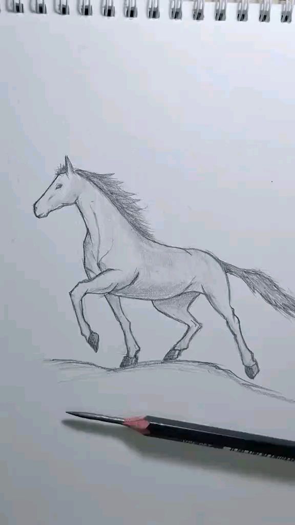 如何用铅笔画一匹马