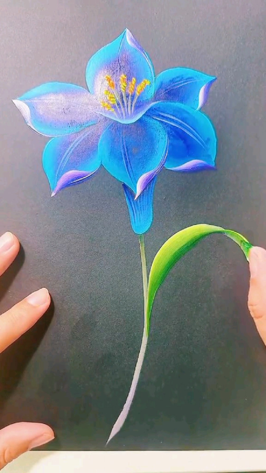 迷人美丽的蓝色花朵画