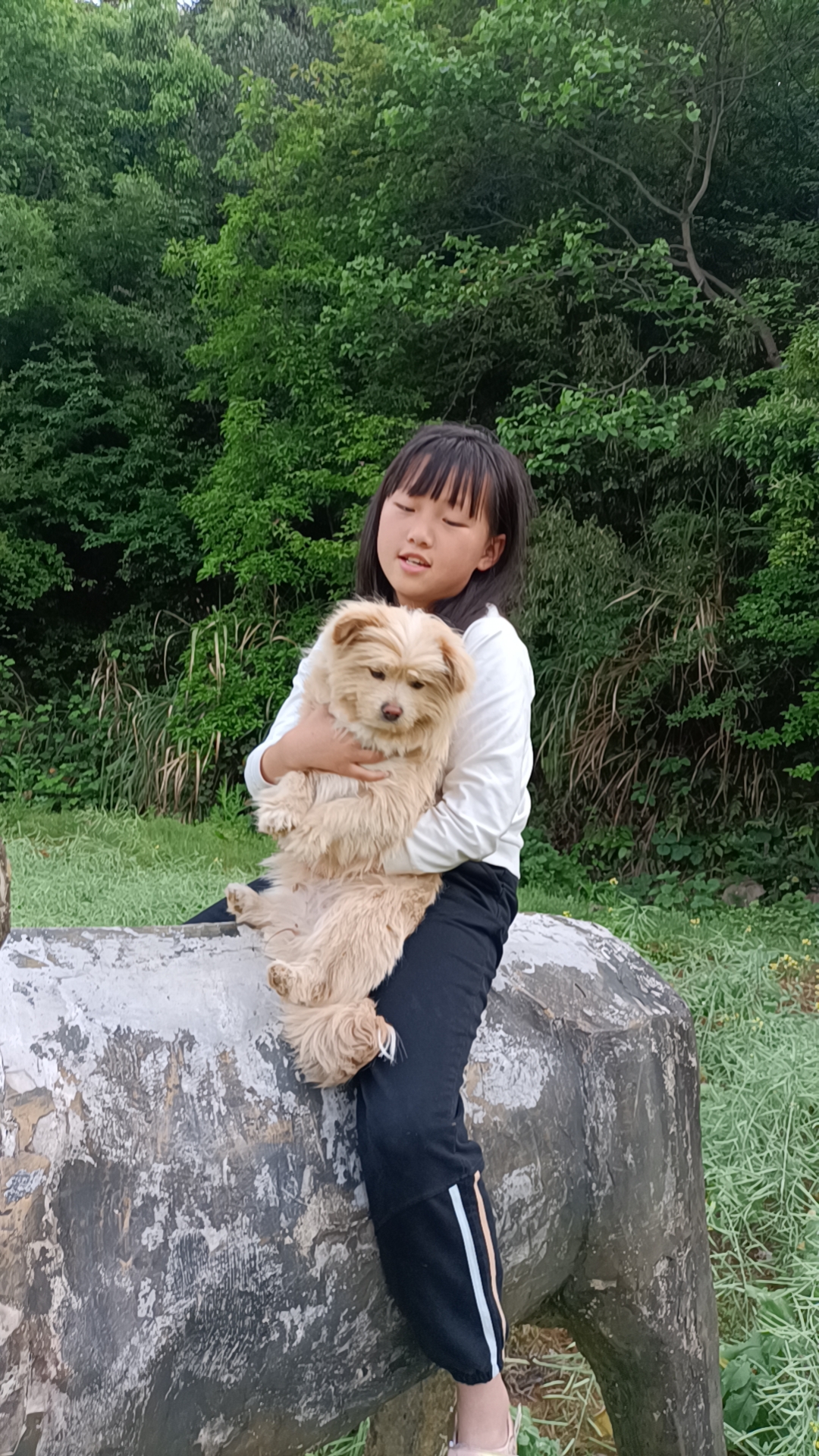 小女孩和小狗之间的故事总是充满温情与感动