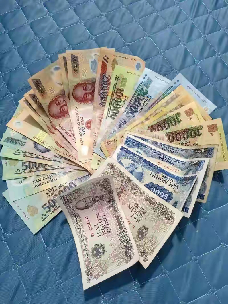 越南盾10万面额图片