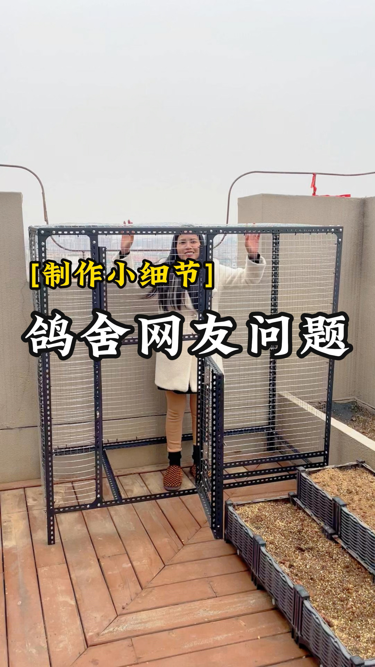 大家要的鸽子笼尺寸