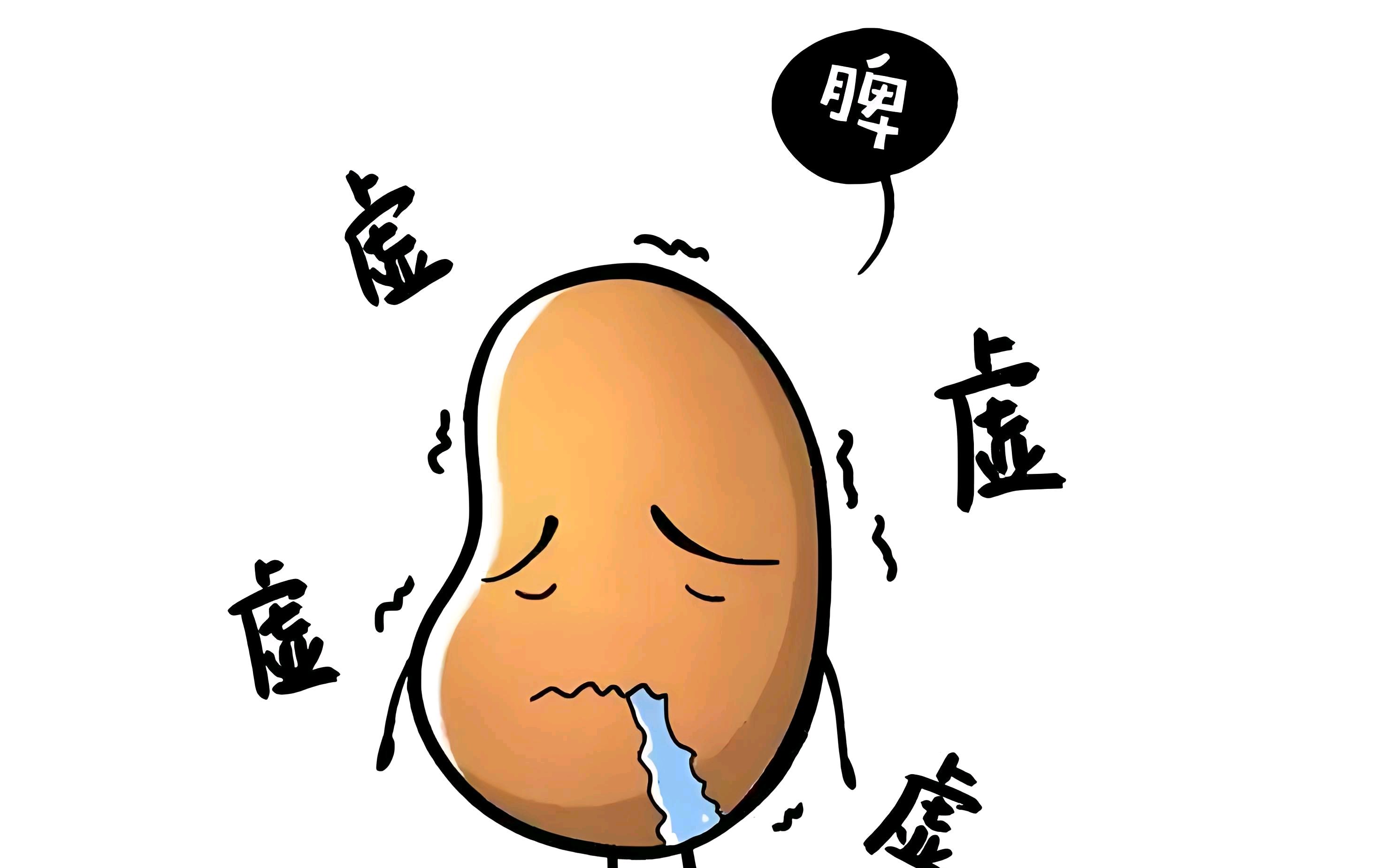脾虚为什么会百病生