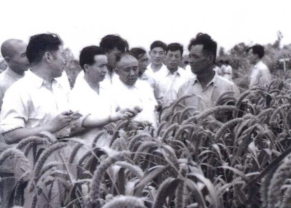 五十年代后期,谭启龙书记和杨得志将军深一脚浅一脚扎进农田,攥着还带