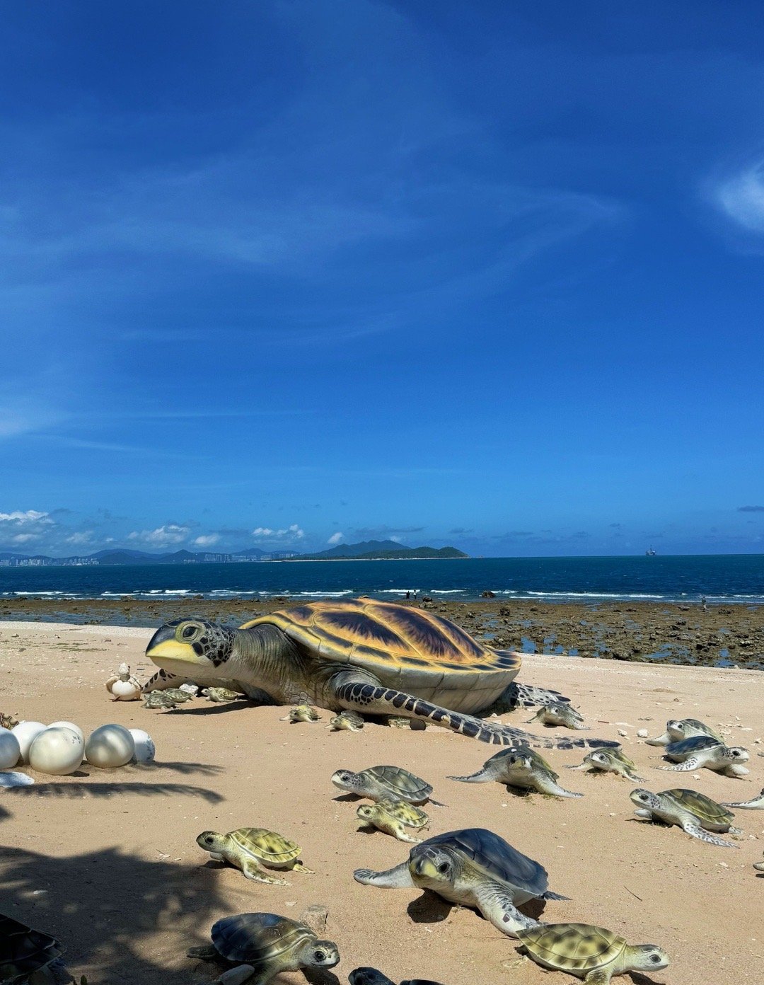 成长进行时# 我生性自由 当你不够爱我的时候