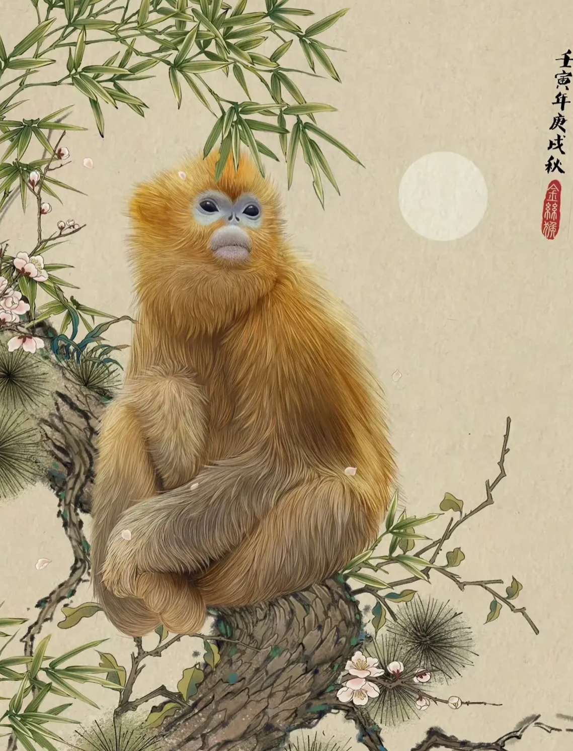 鼠猴生肖运势怎么样啊(鼠年生肖猴)