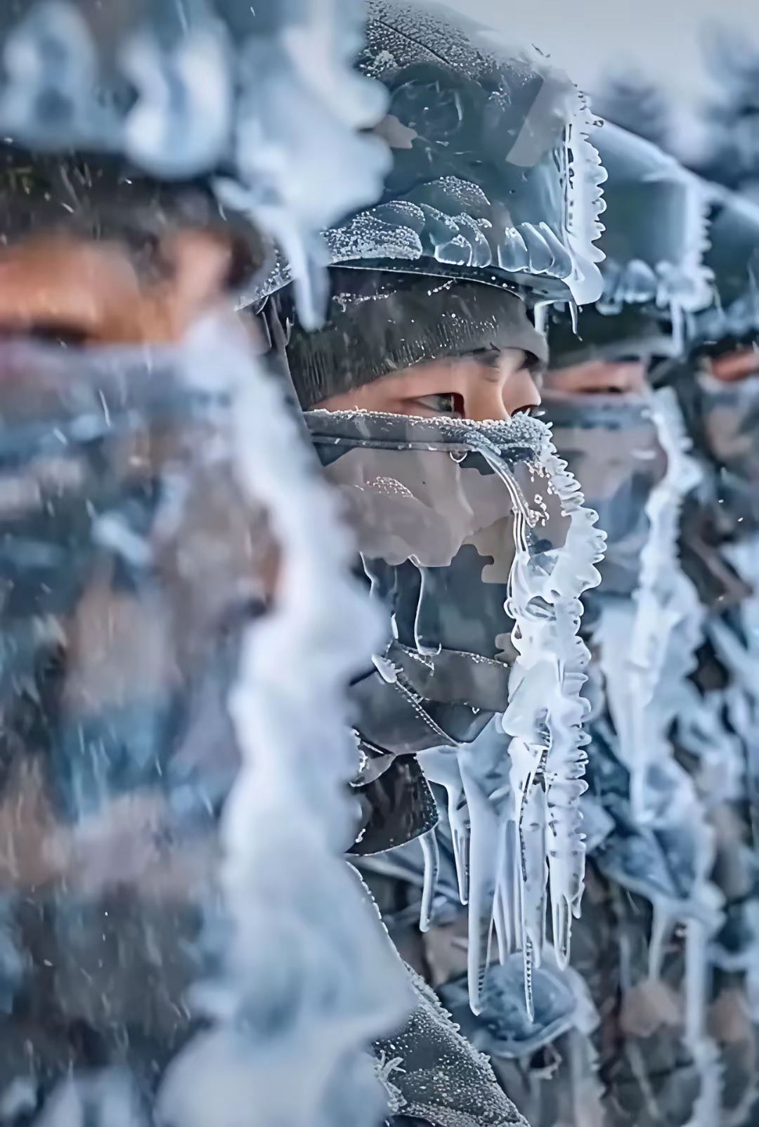 救人照片老部队批评人照片雪天红雪茶武警采摘申亮亮