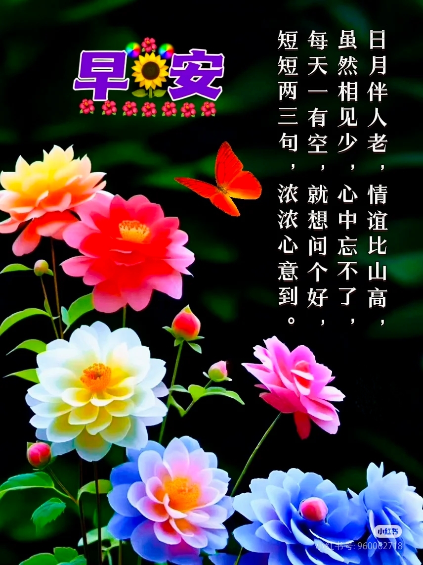 《早安寄深情,幸福乐无忧:情谊伴你岁岁同》