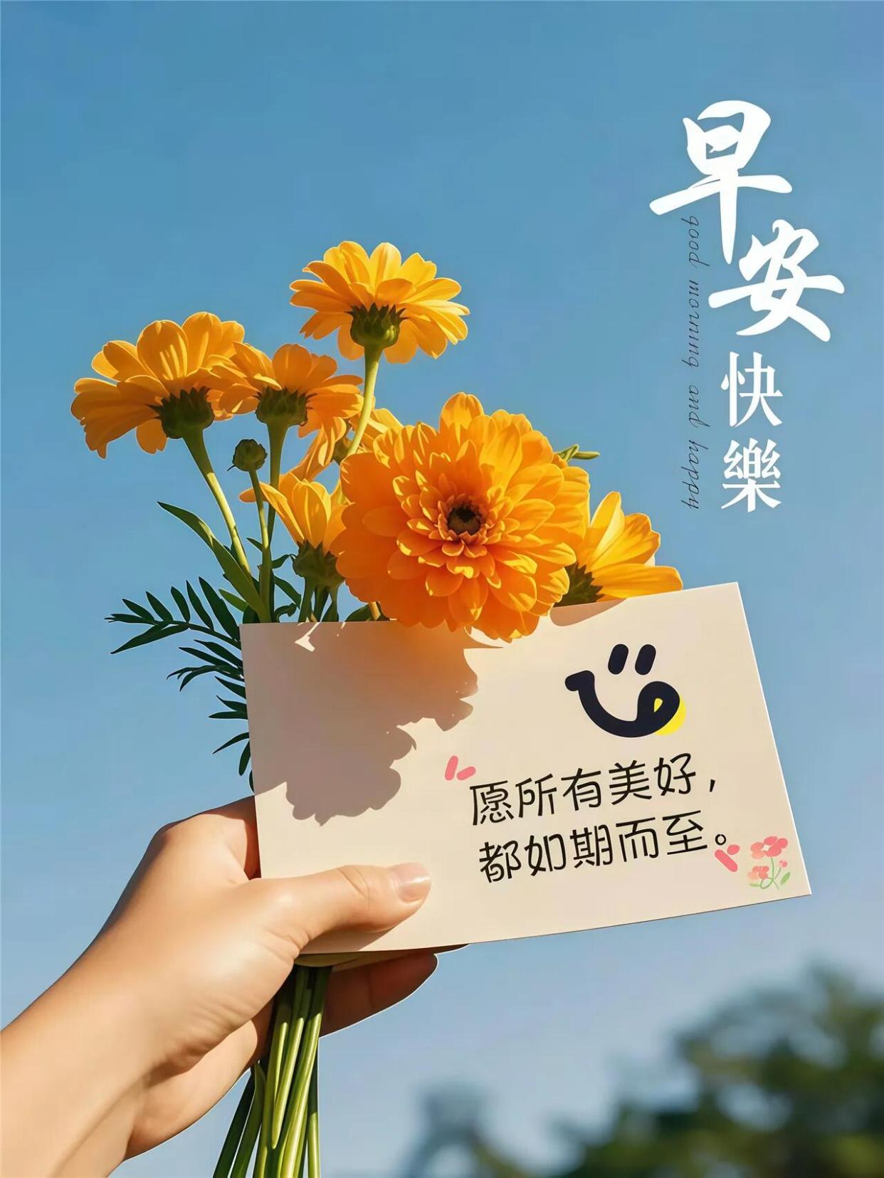 6·26九句早安心语,轻拂心灵开启美好新篇