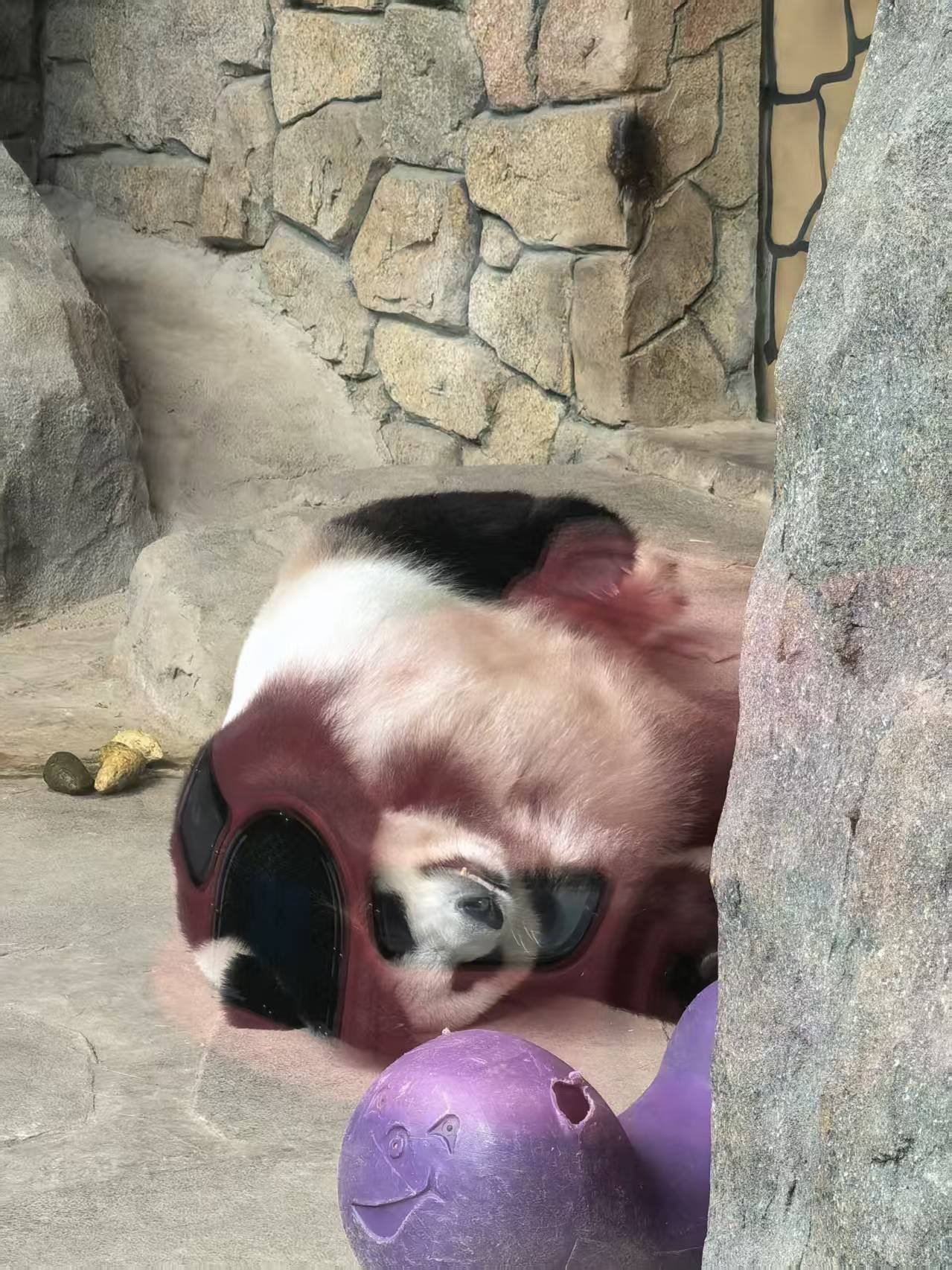 保定野生动物园