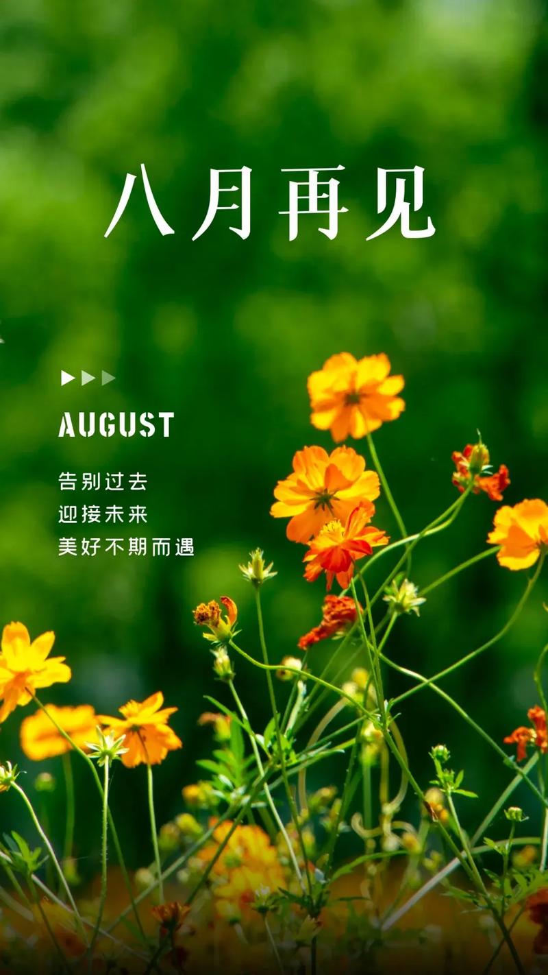 八月再见,九月你好