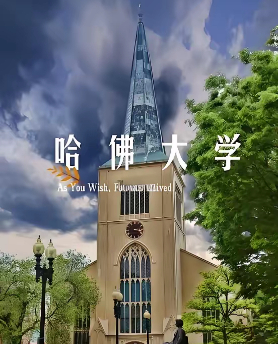 美国政府突然禁止让哈佛大学招收国际留学生她感觉自己的天都要塌了