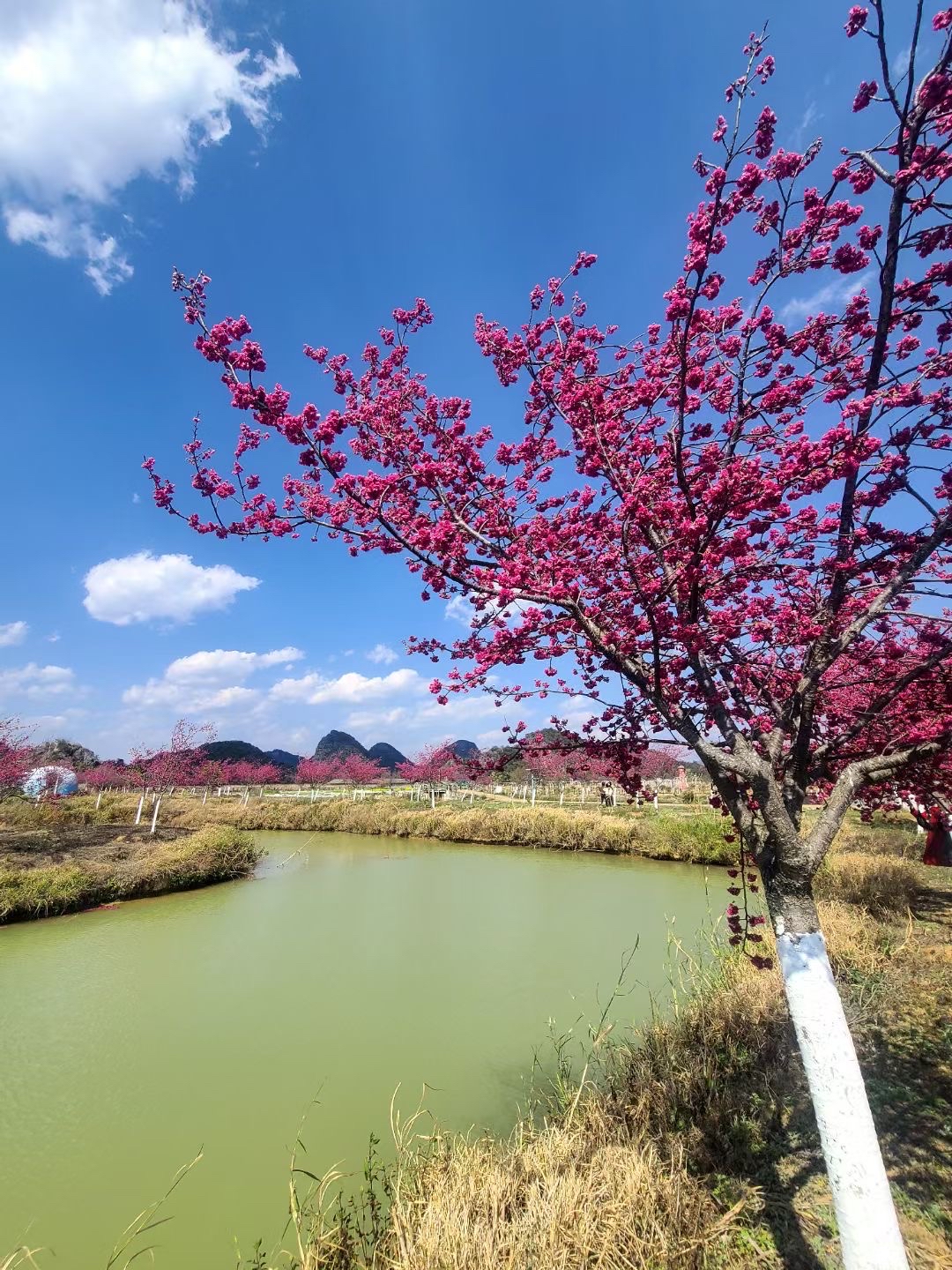 无形之中你的自尊心会减弱,你会失去对自己的期待