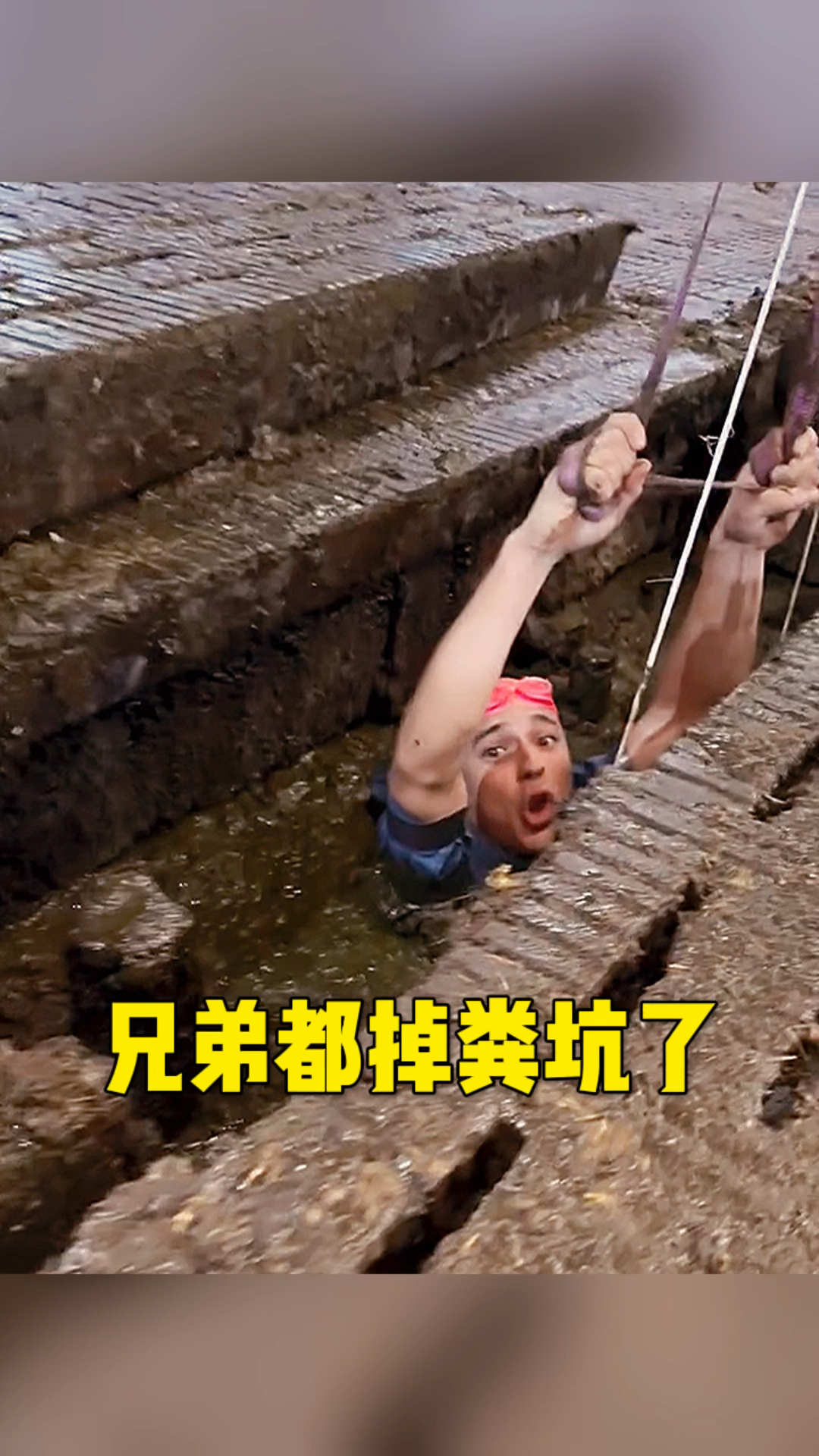 兄弟怎么掉粪坑里了