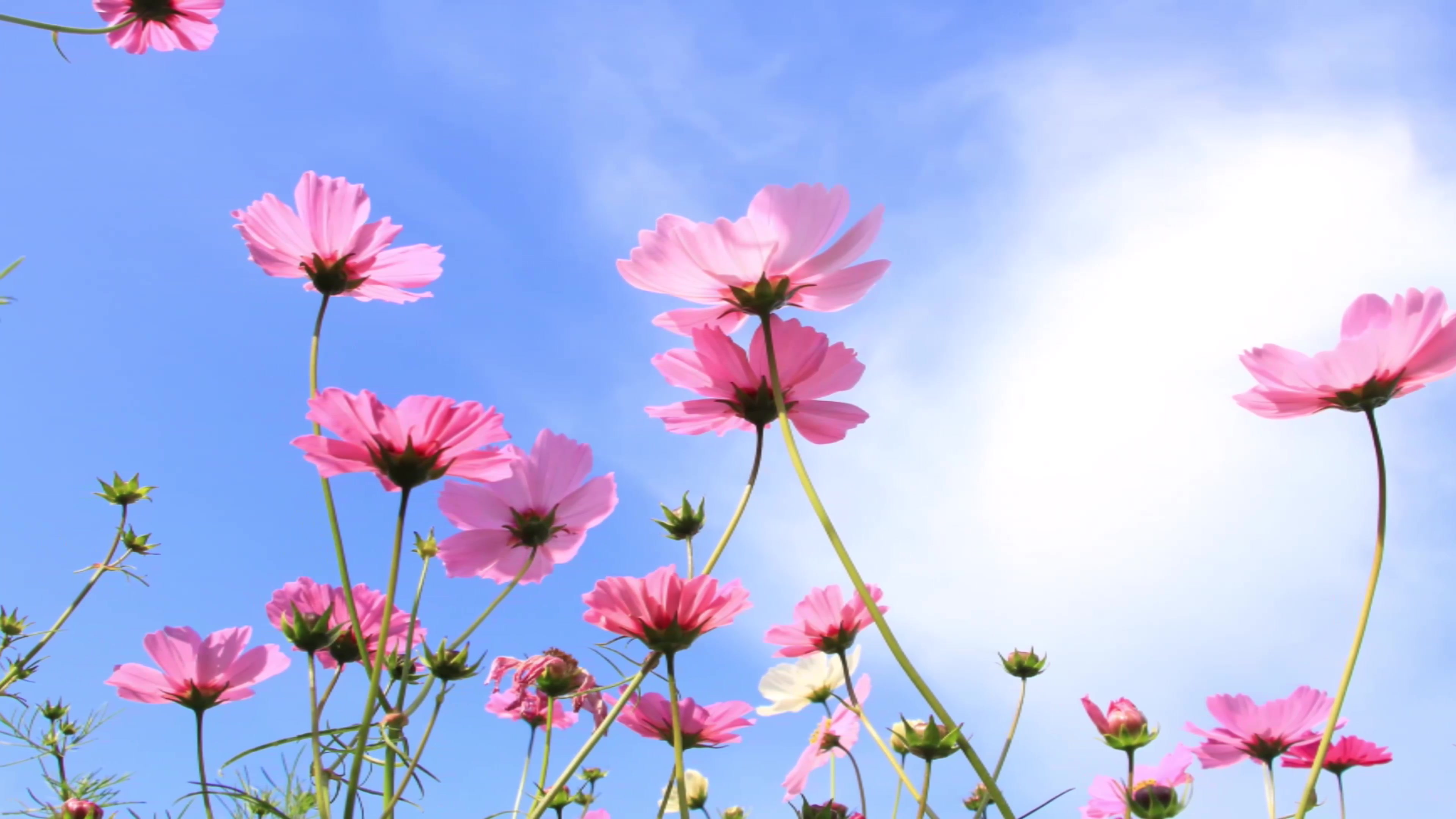 全世界告诉女人和男人结婚要有房有车,唯独没有告诉