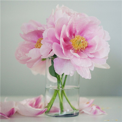 女人一生有四个阶段的发现: 一,发现父母并不爱自己 二,发现兄弟姐妹