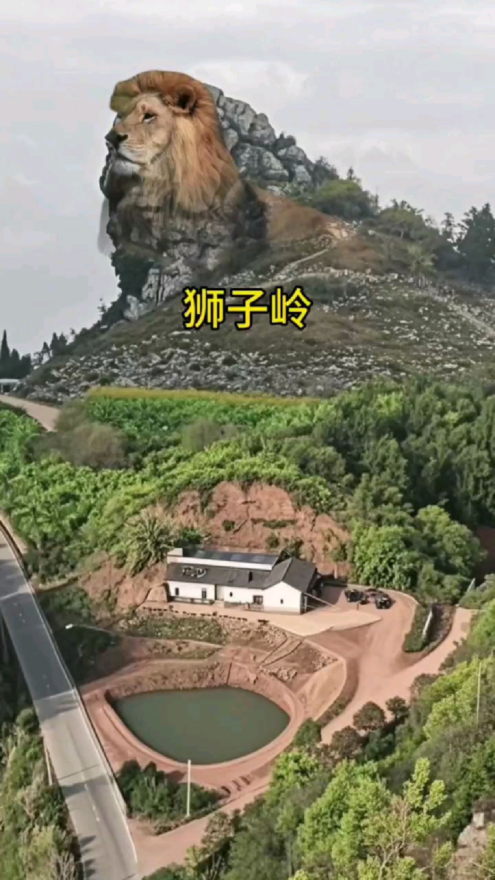 狮岭天气在线