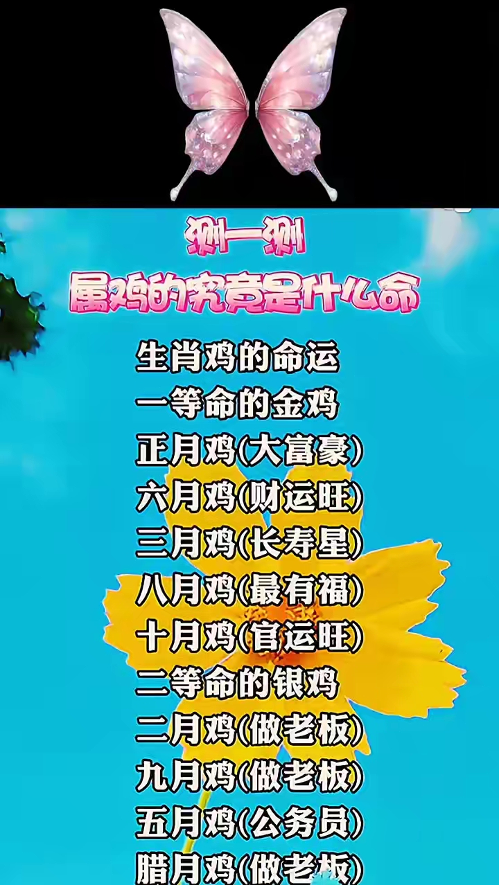 生肖鸡牛运势怎么样男(属鸡的人牛年运气如何)