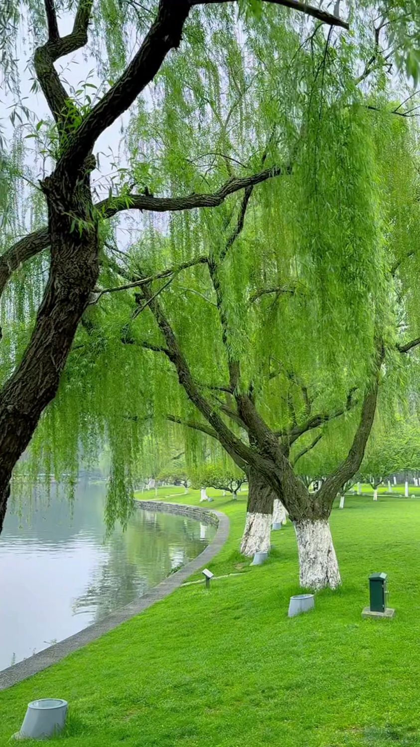 春风杨柳万千条,六亿神州尽舜尧