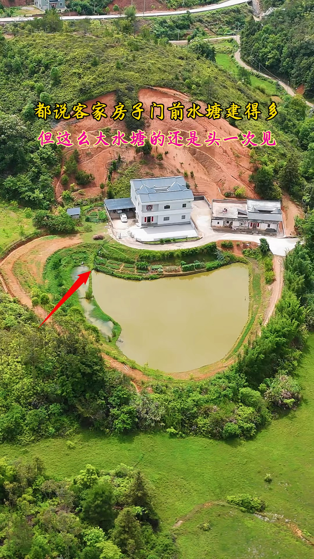 都说客家房子门前水塘建得多,但这么大水塘的还是头一次见