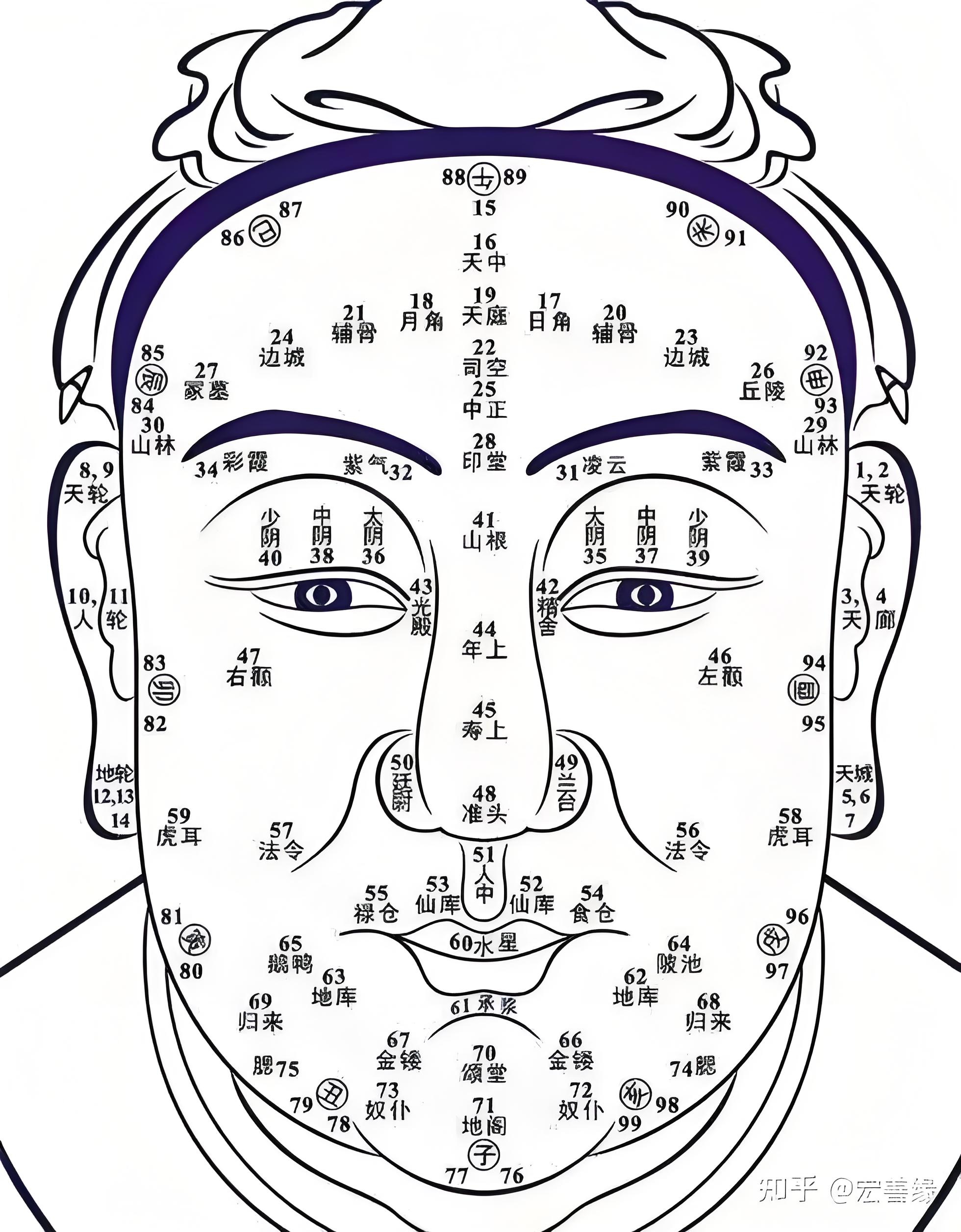 从面相的角度来说哦,如果一个人的眼睛下方或者下眼睑那里有很多痣,这