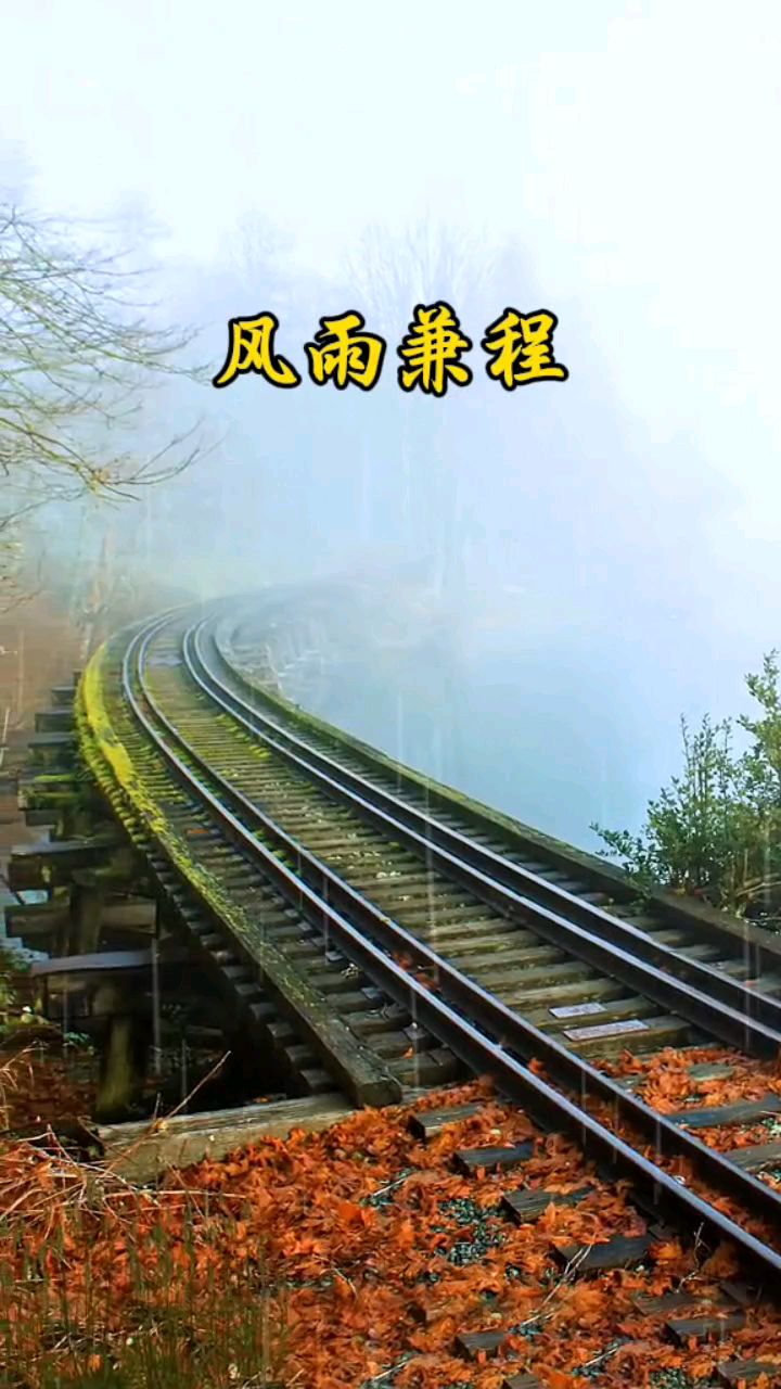 一首经典老歌《风雨兼程》,勾起我们无数的回忆