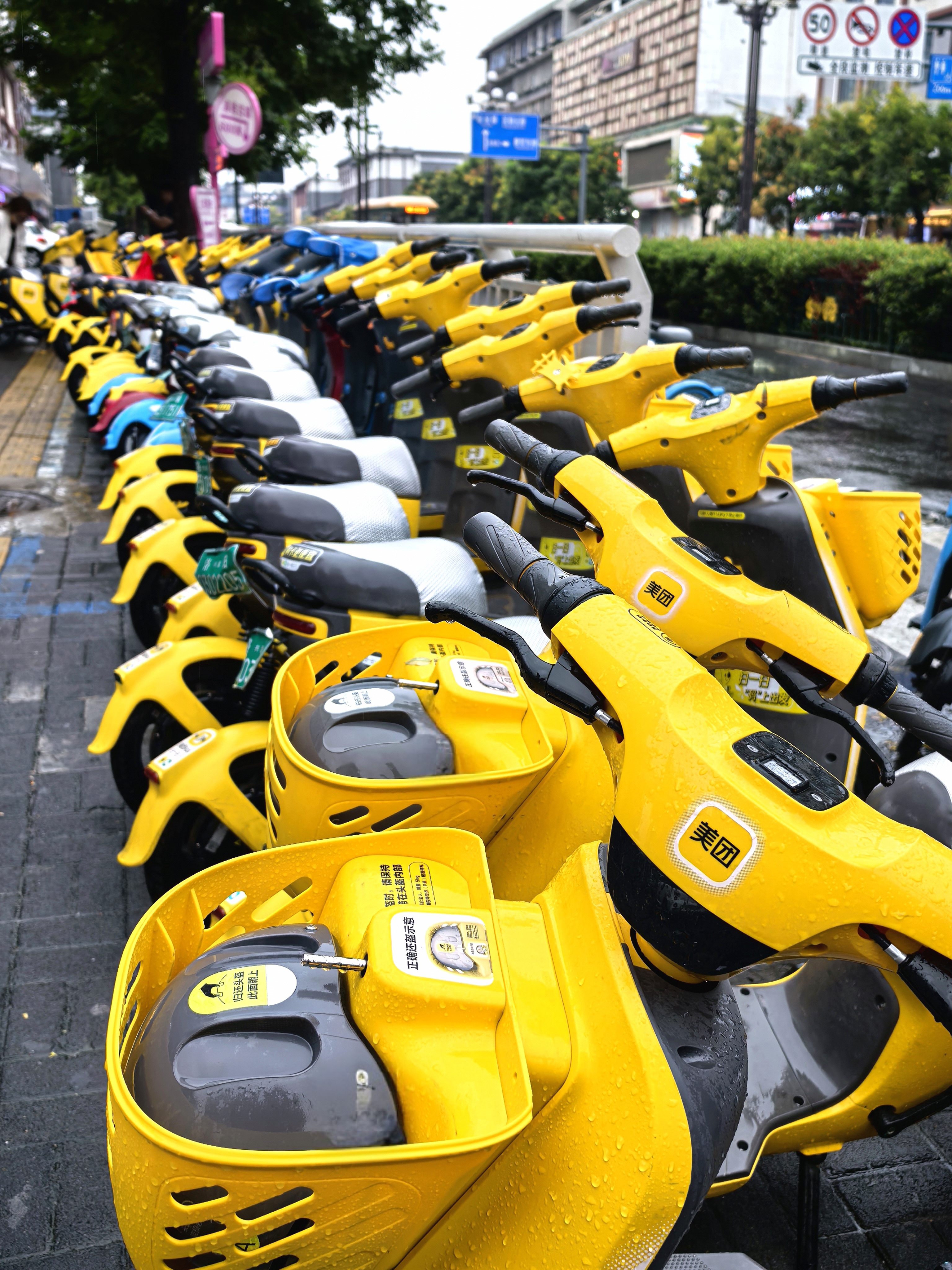 城市漫步记# 雨中的洛阳街头,共享电车整治见效