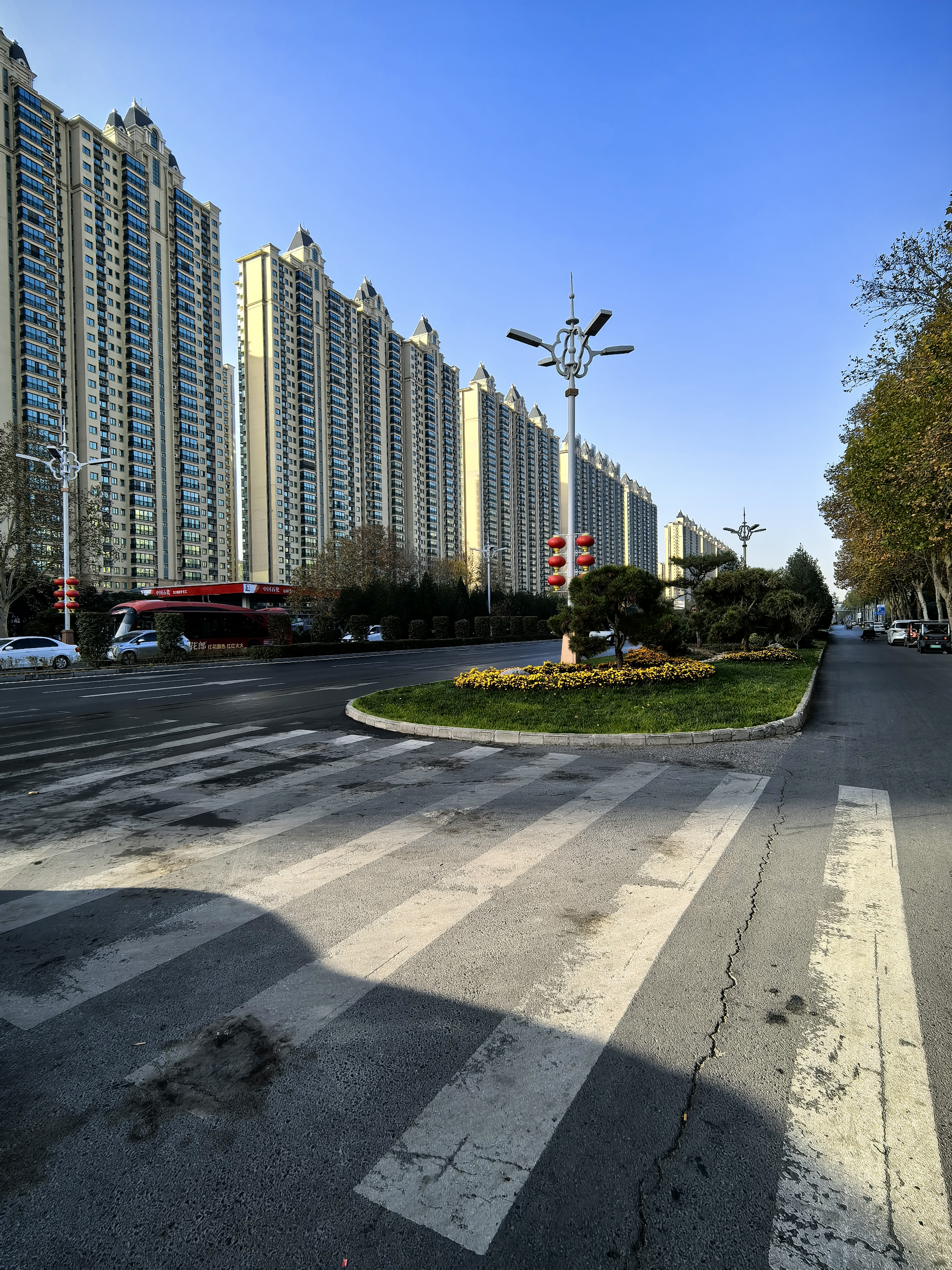 暖冬中的河南洛阳街头风光挺好暖阳高照是时候走出
