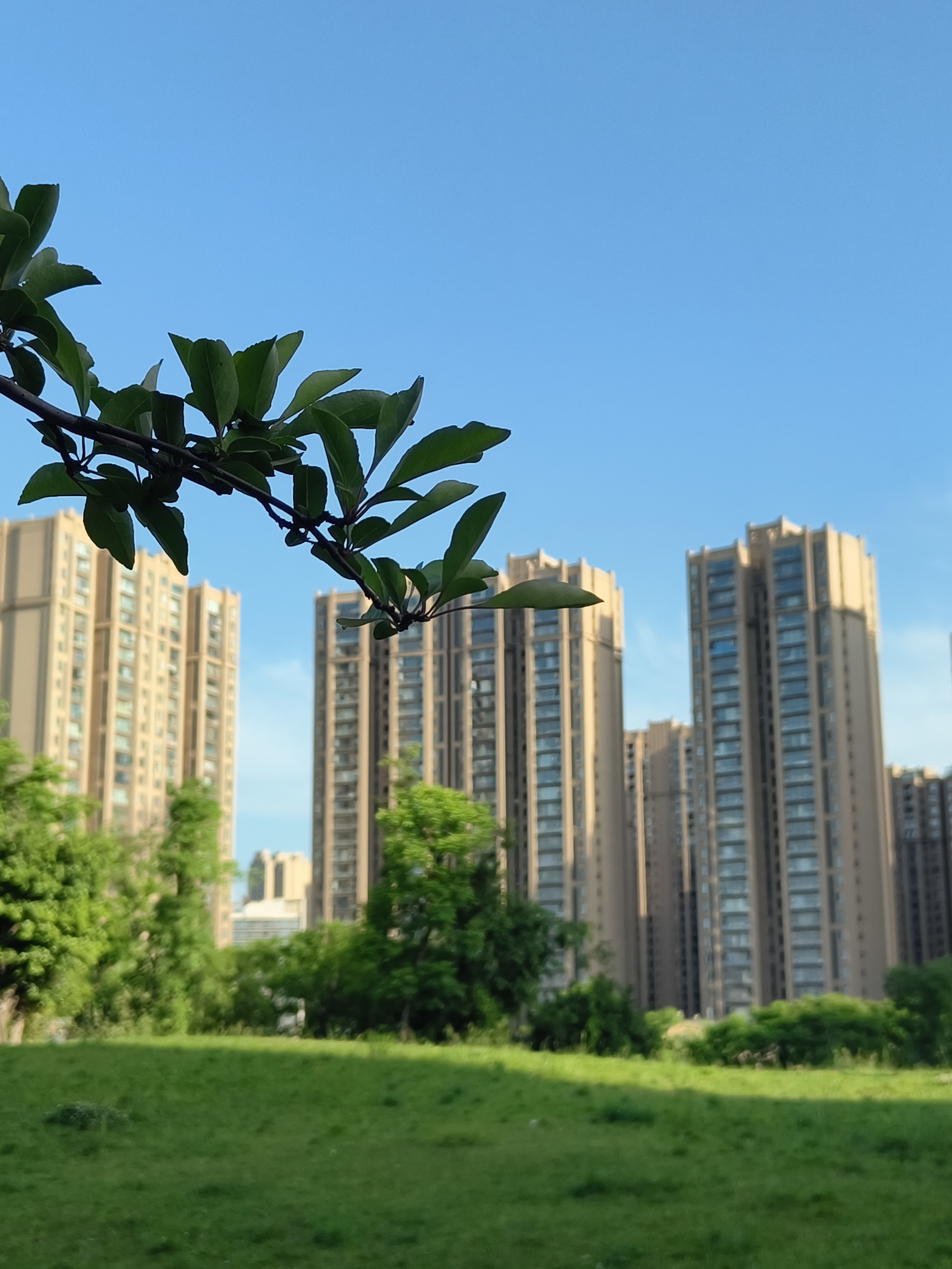 在城市的喧嚣中,寻得一方宁静天地