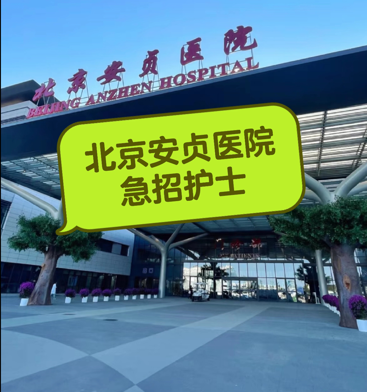 關于北京安貞醫院、門頭溝區號販子聯系方式_全天在線急您所急的信息