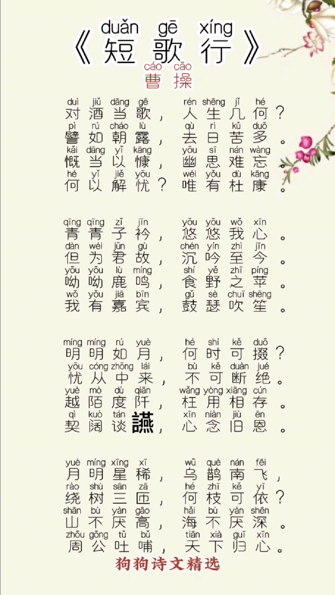 短歌行化用诗经哪一句