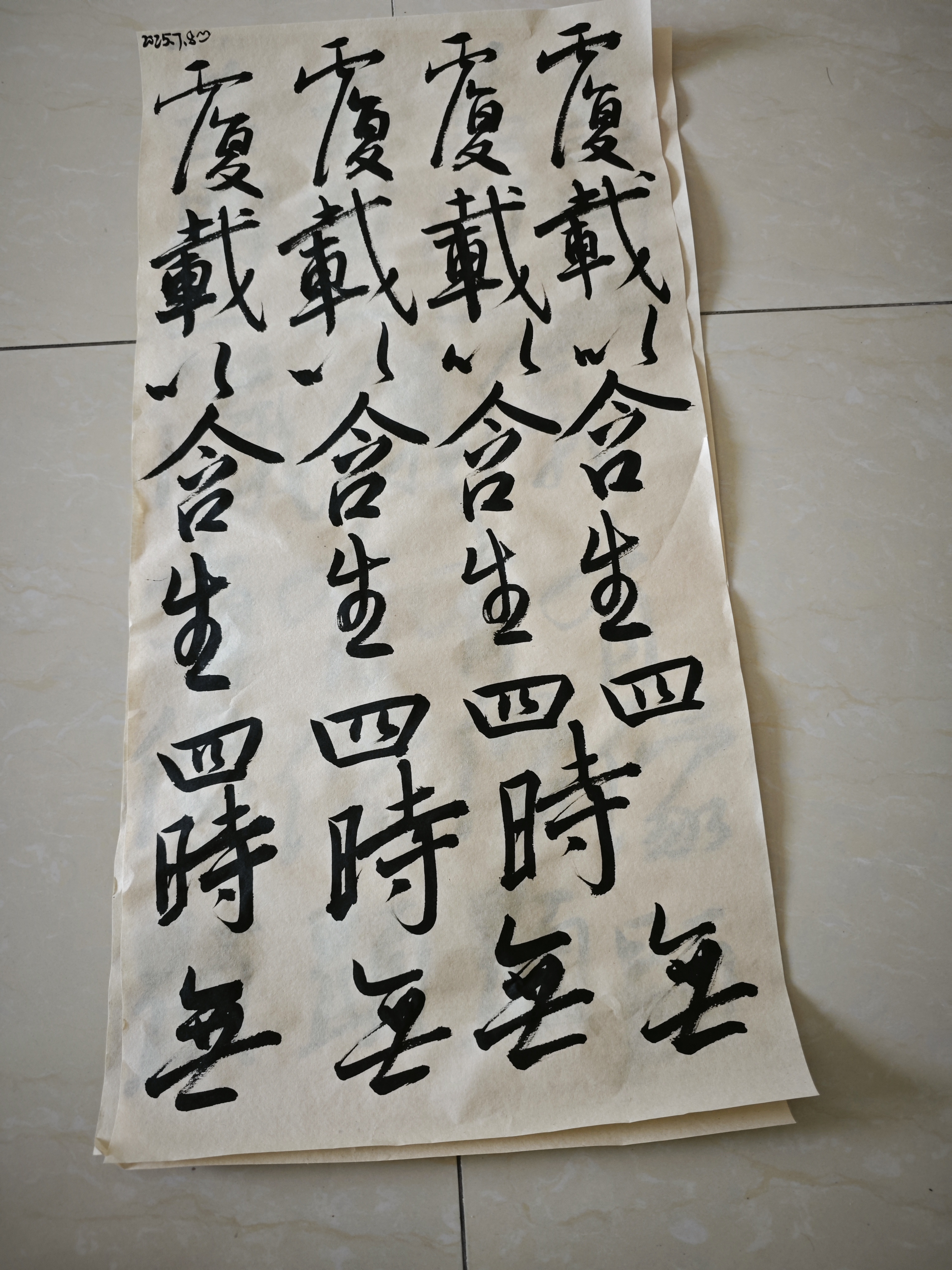 昨晚半夜的时候我起床上了个厕所,回来一看,好家