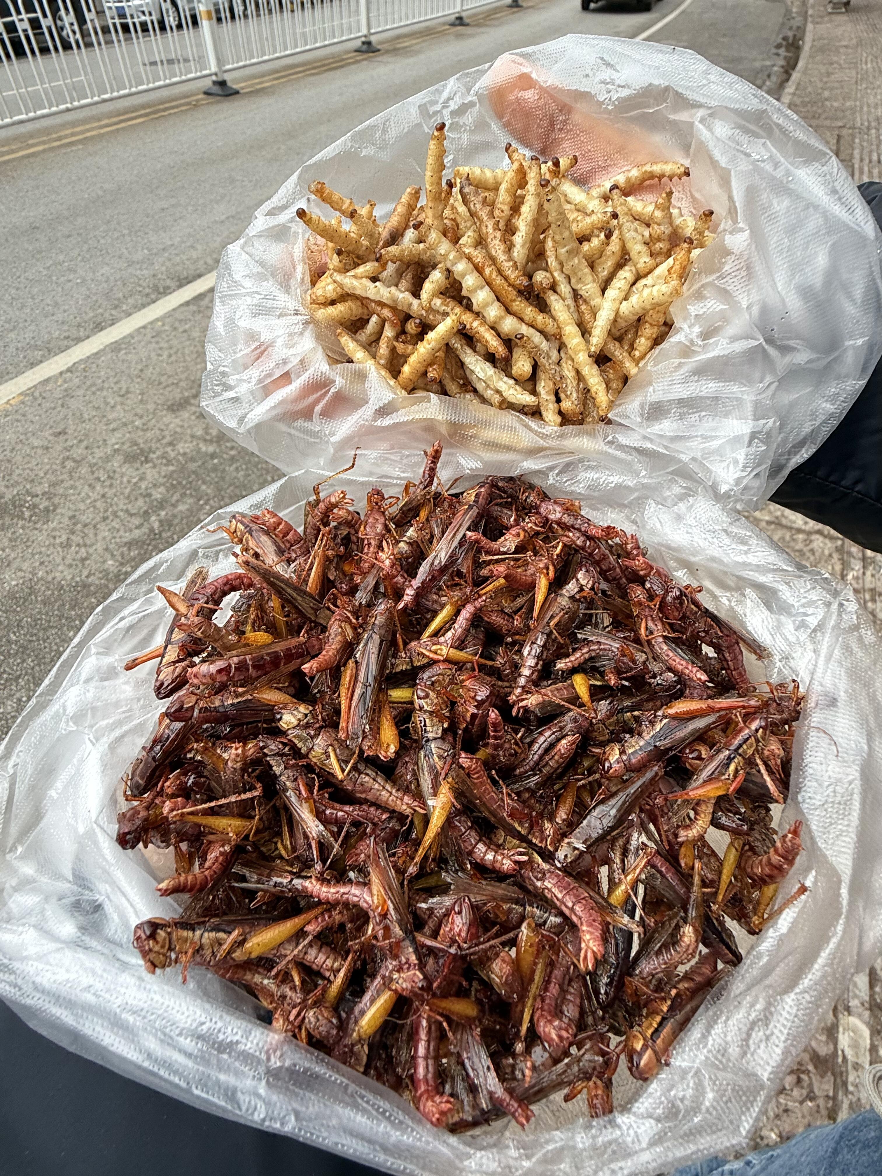 云南超火的蚂蚱拿铁竹虫美式咖啡