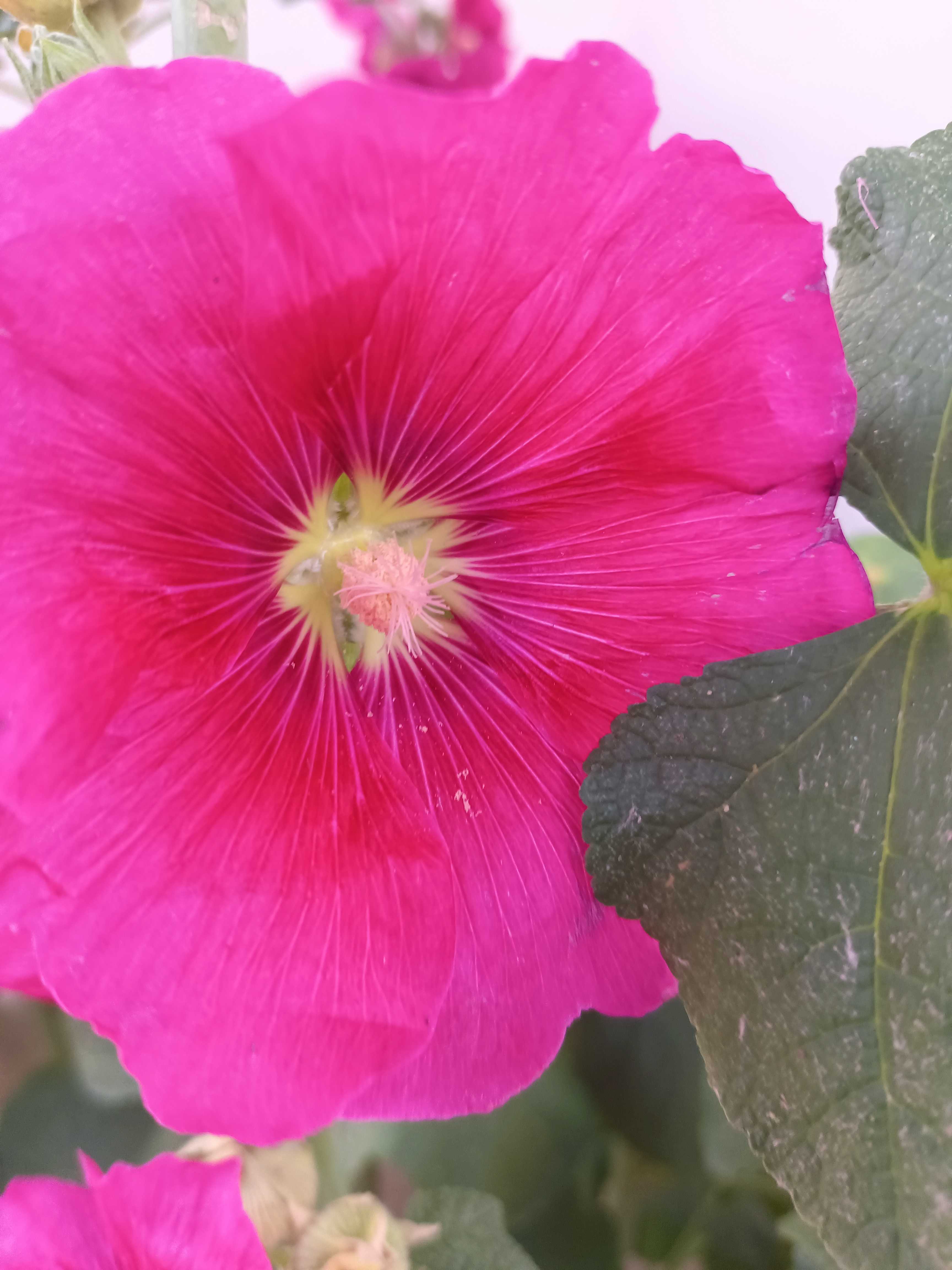 今天气温到了28度,难得的一个凉爽的好天气