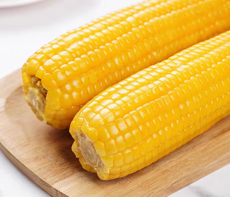 玉米相关图片1