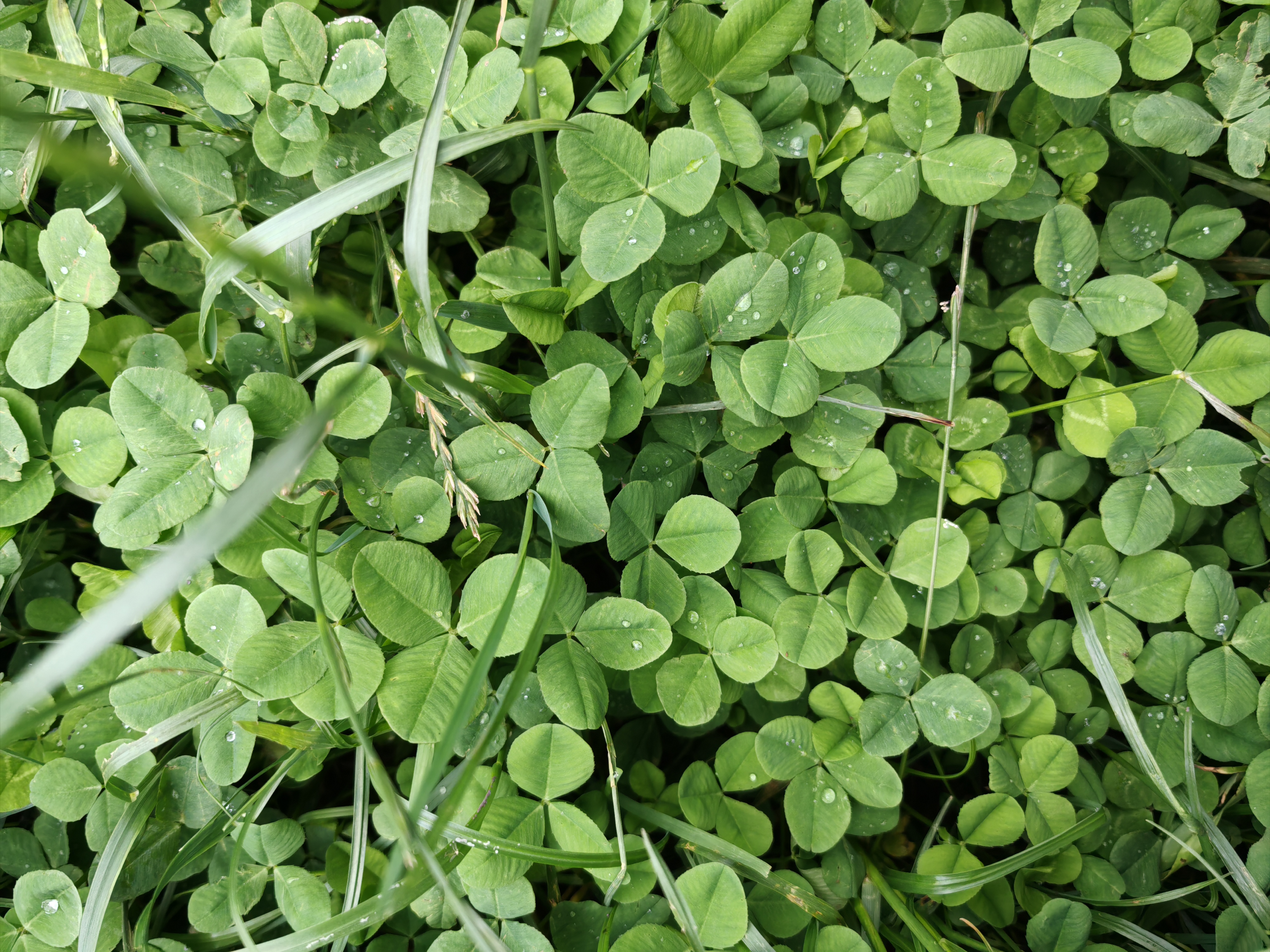 你有你的人生, 我有我的旅程, 不要因为看到别人