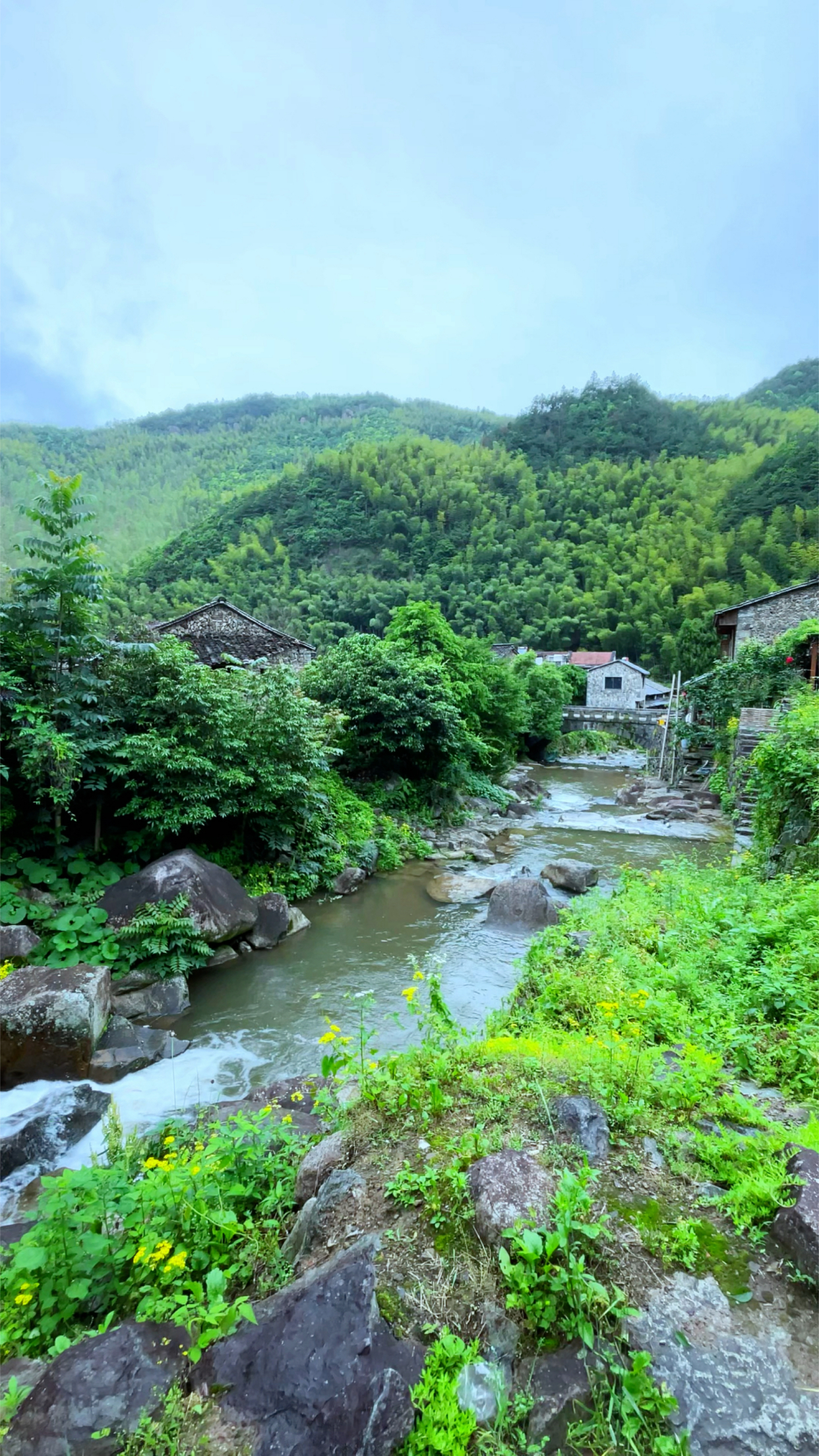 在浙江丽水市的大山深处,藏着一座古老村庄,已有600多年历史