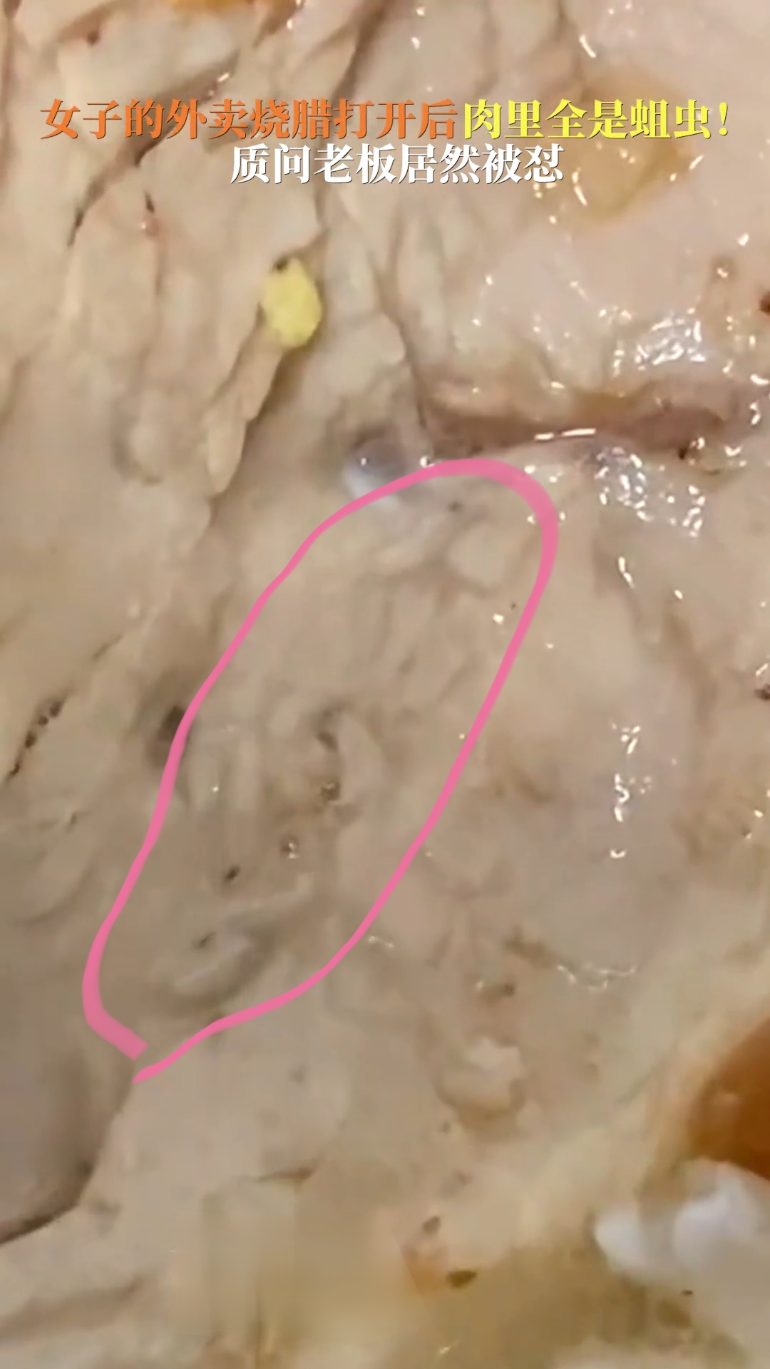 外卖烧腊惊现满肉活蛆,找老板理论竟遭反怼?