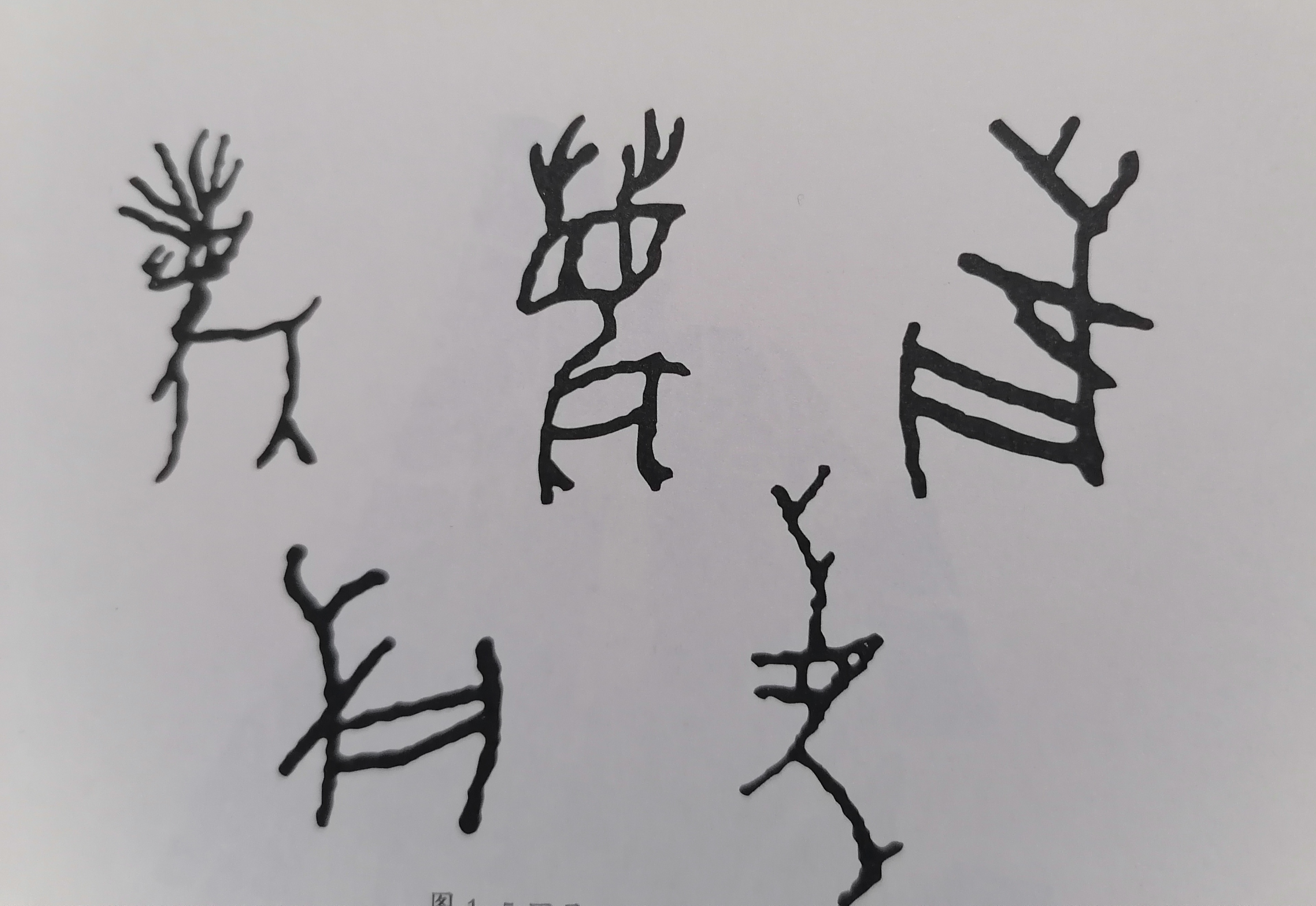 甲骨文"鹿"字